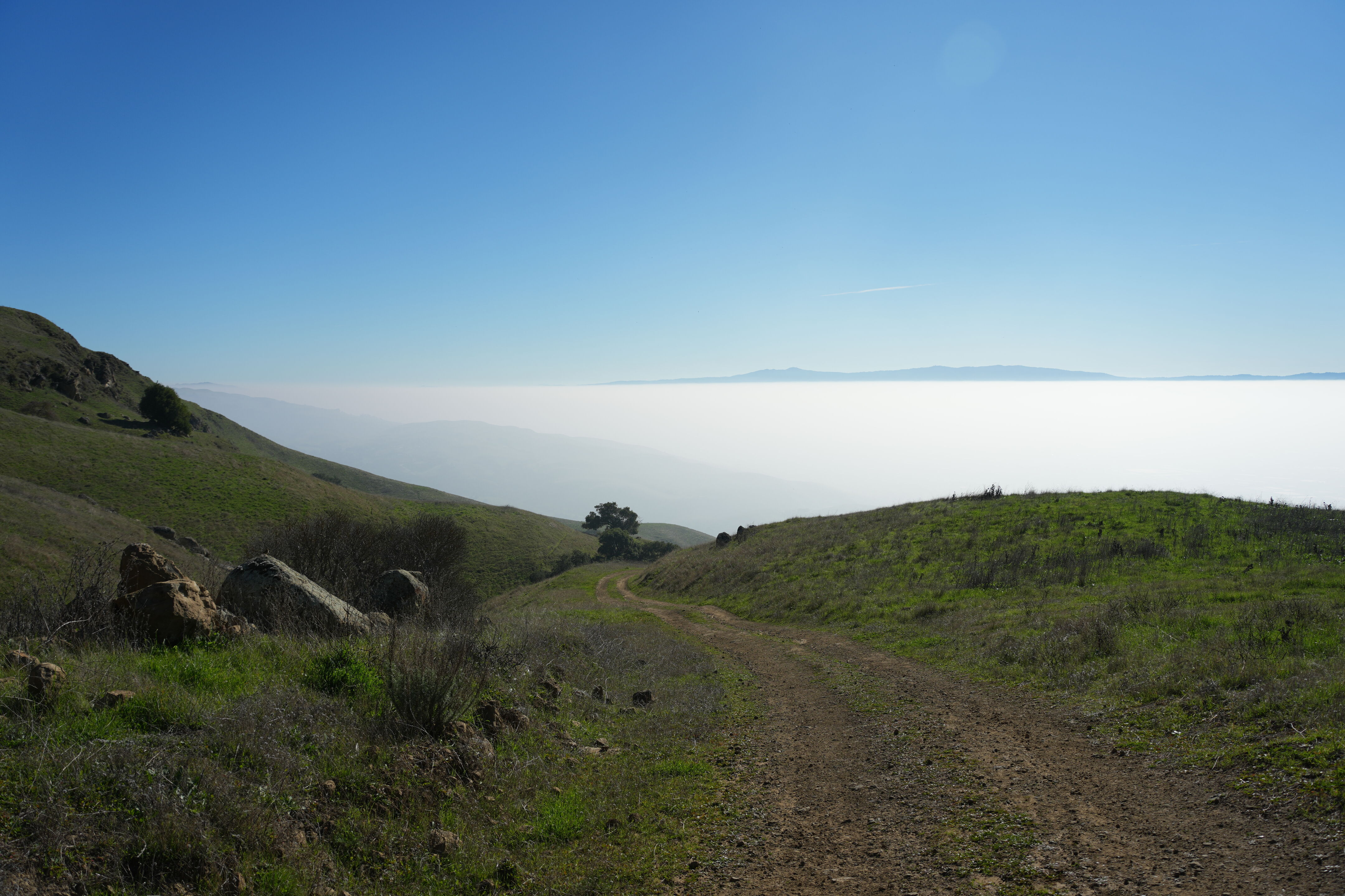Ed R. Levin County Park