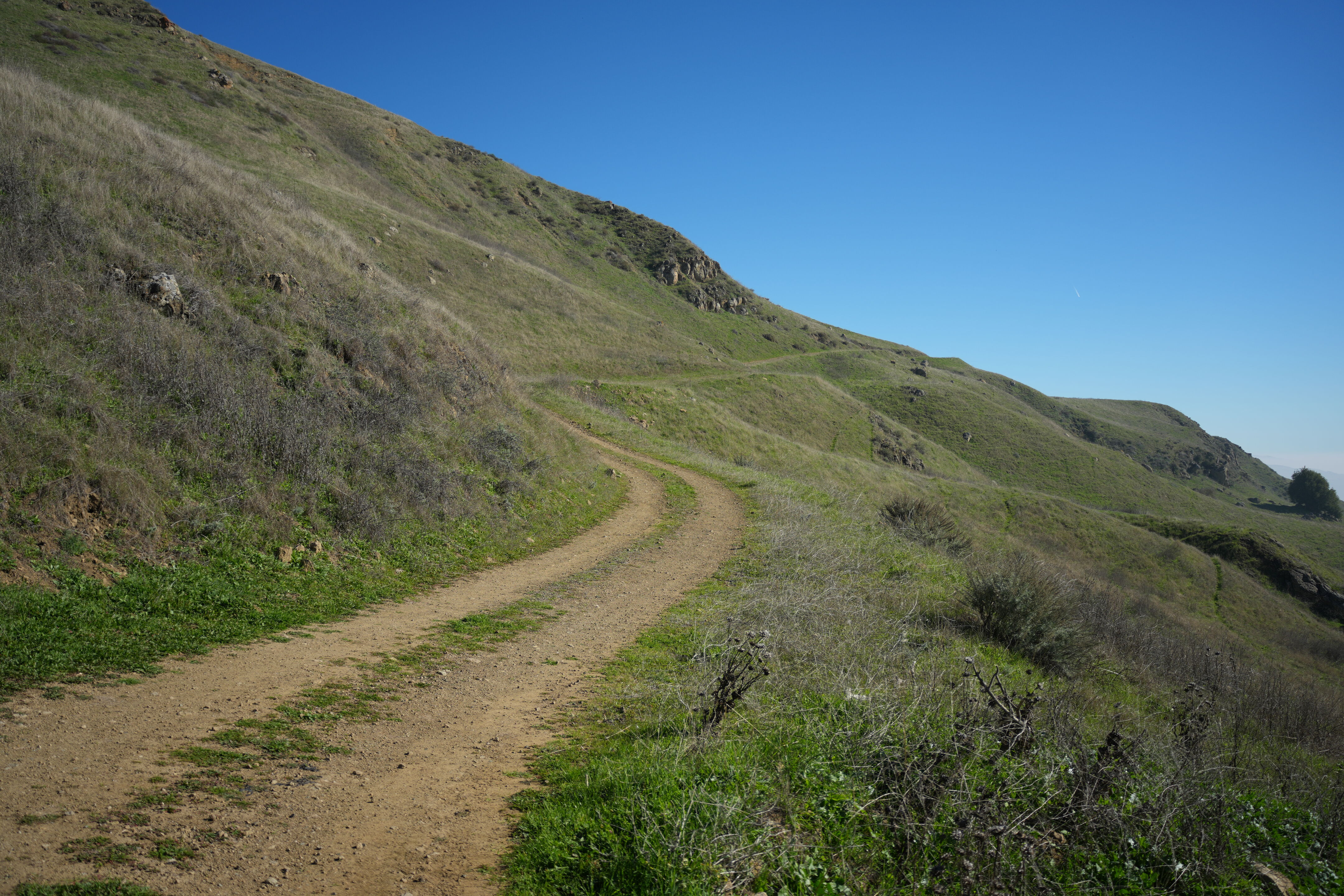 Ed R. Levin County Park