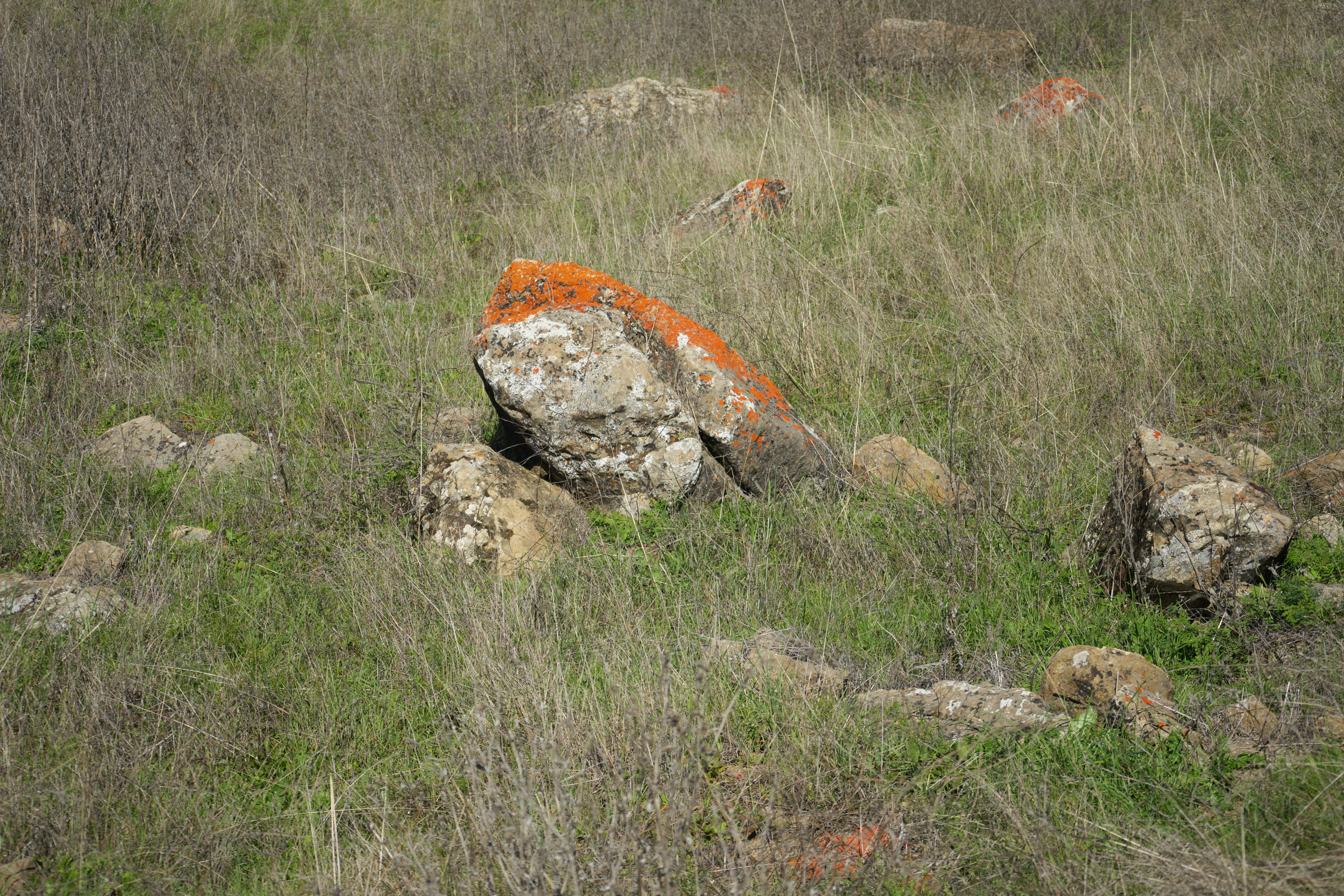 Ed R. Levin County Park