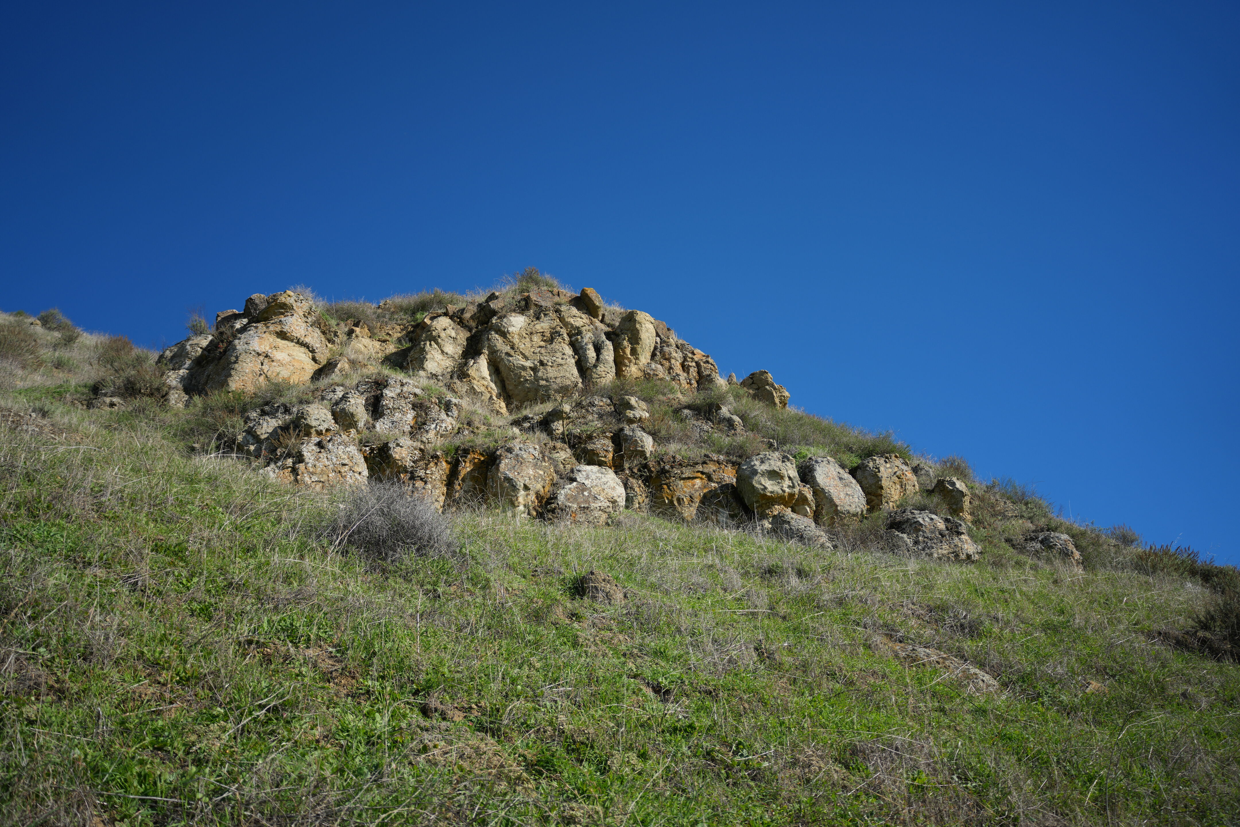 Ed R. Levin County Park