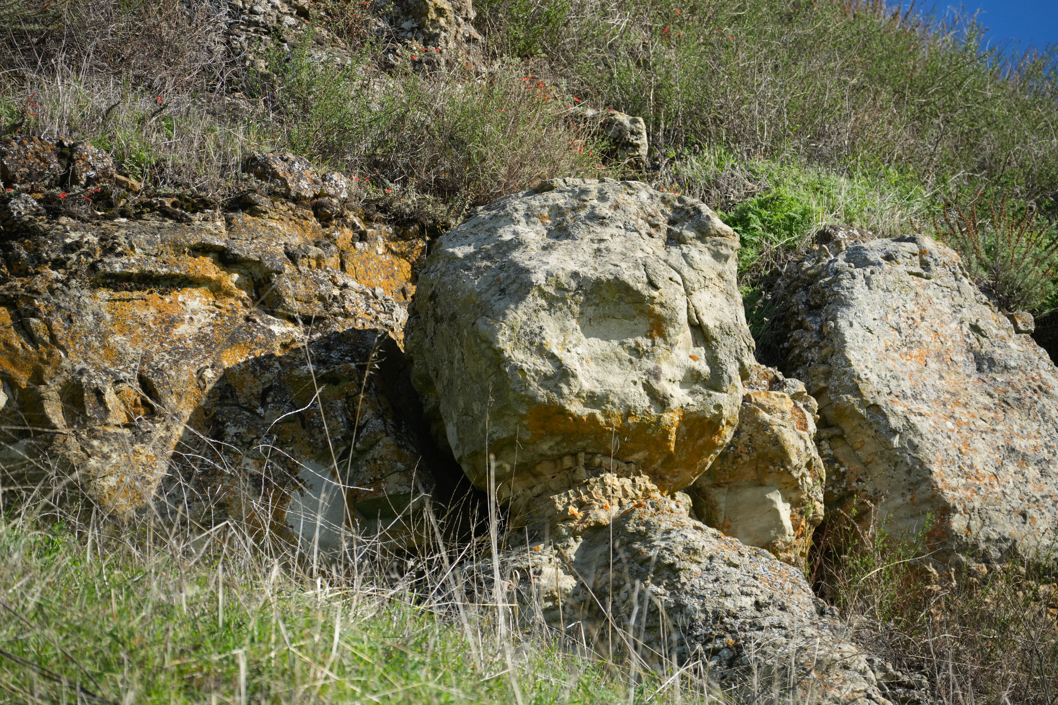 Ed R. Levin County Park