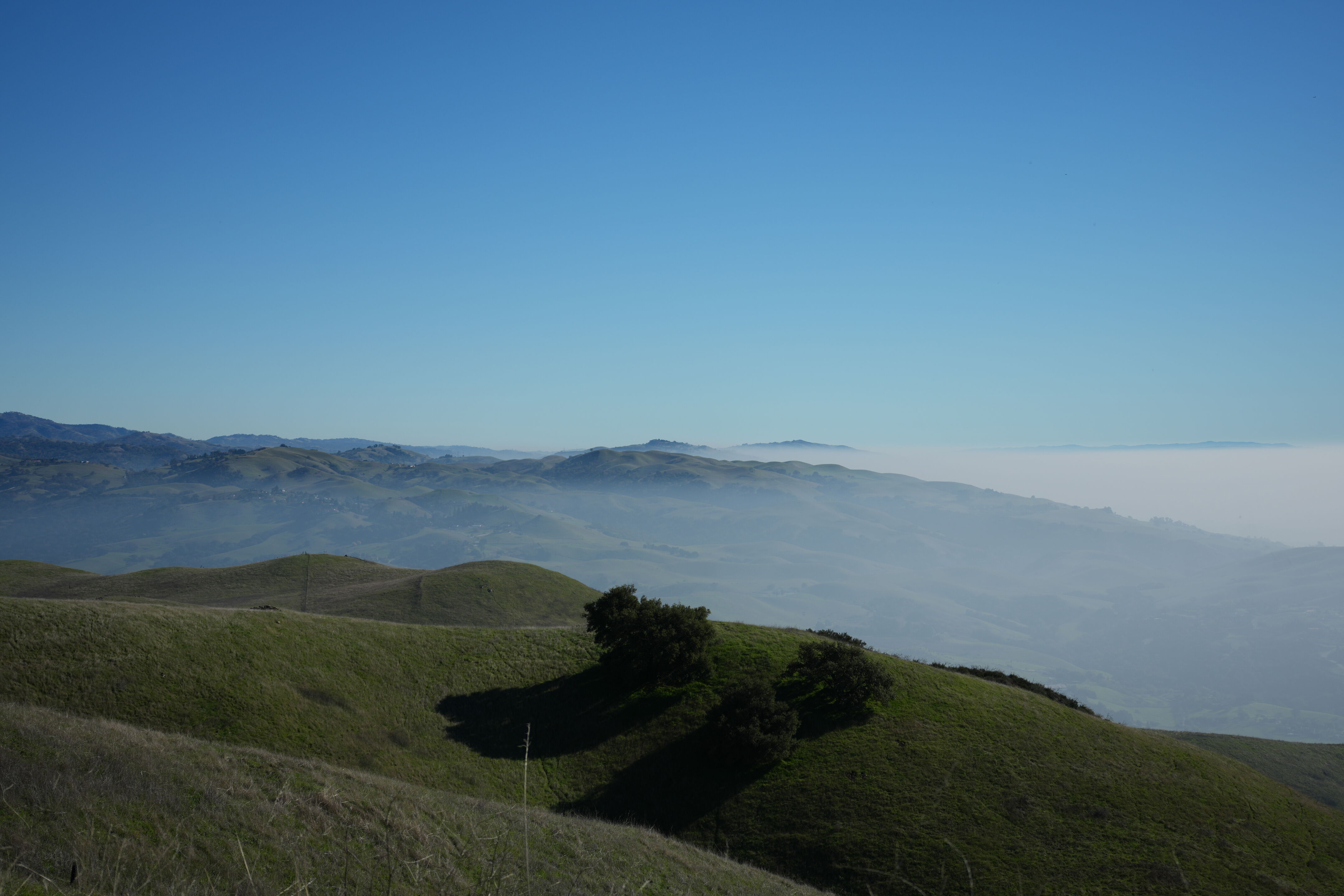 Ed R. Levin County Park