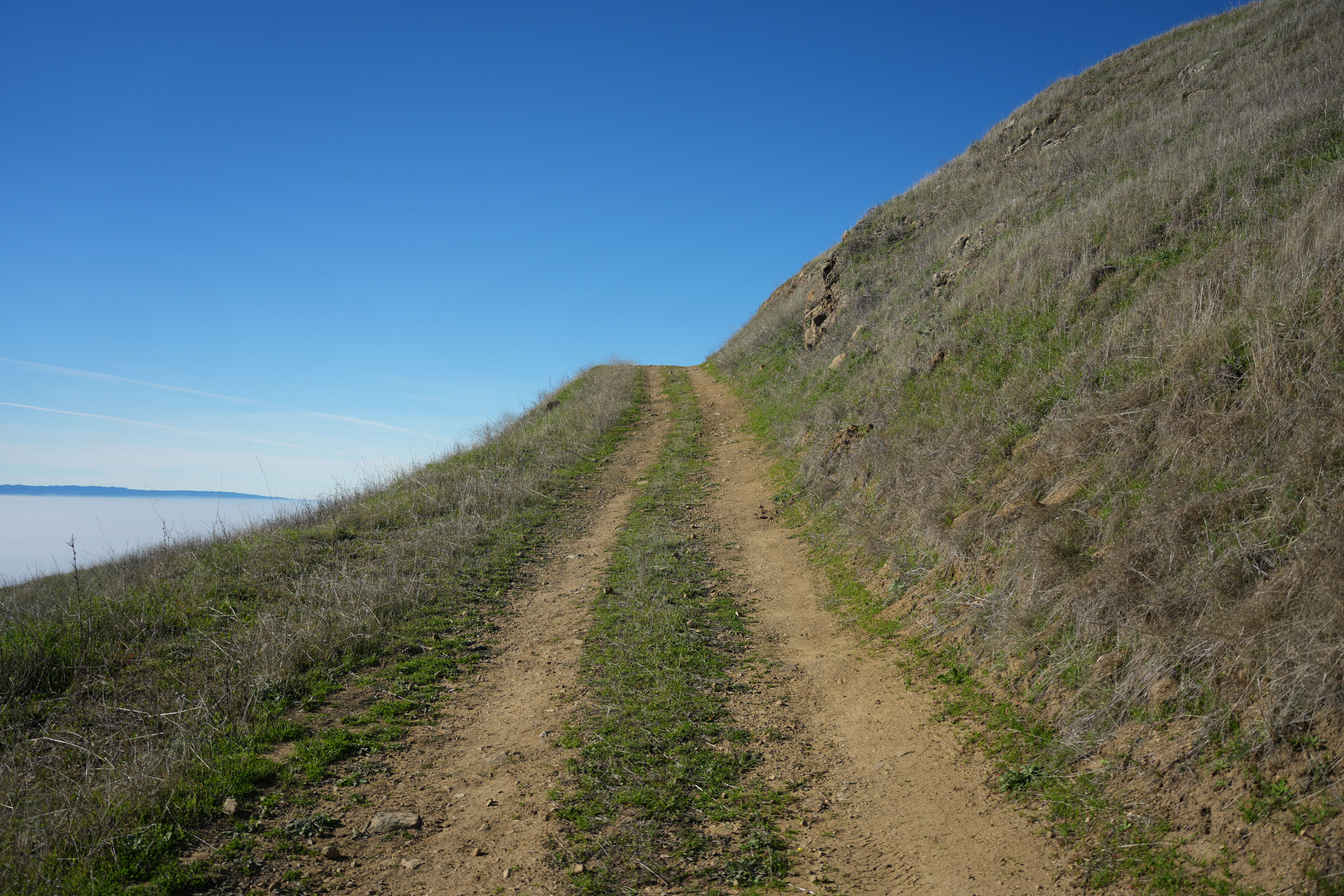 Ed R. Levin County Park
