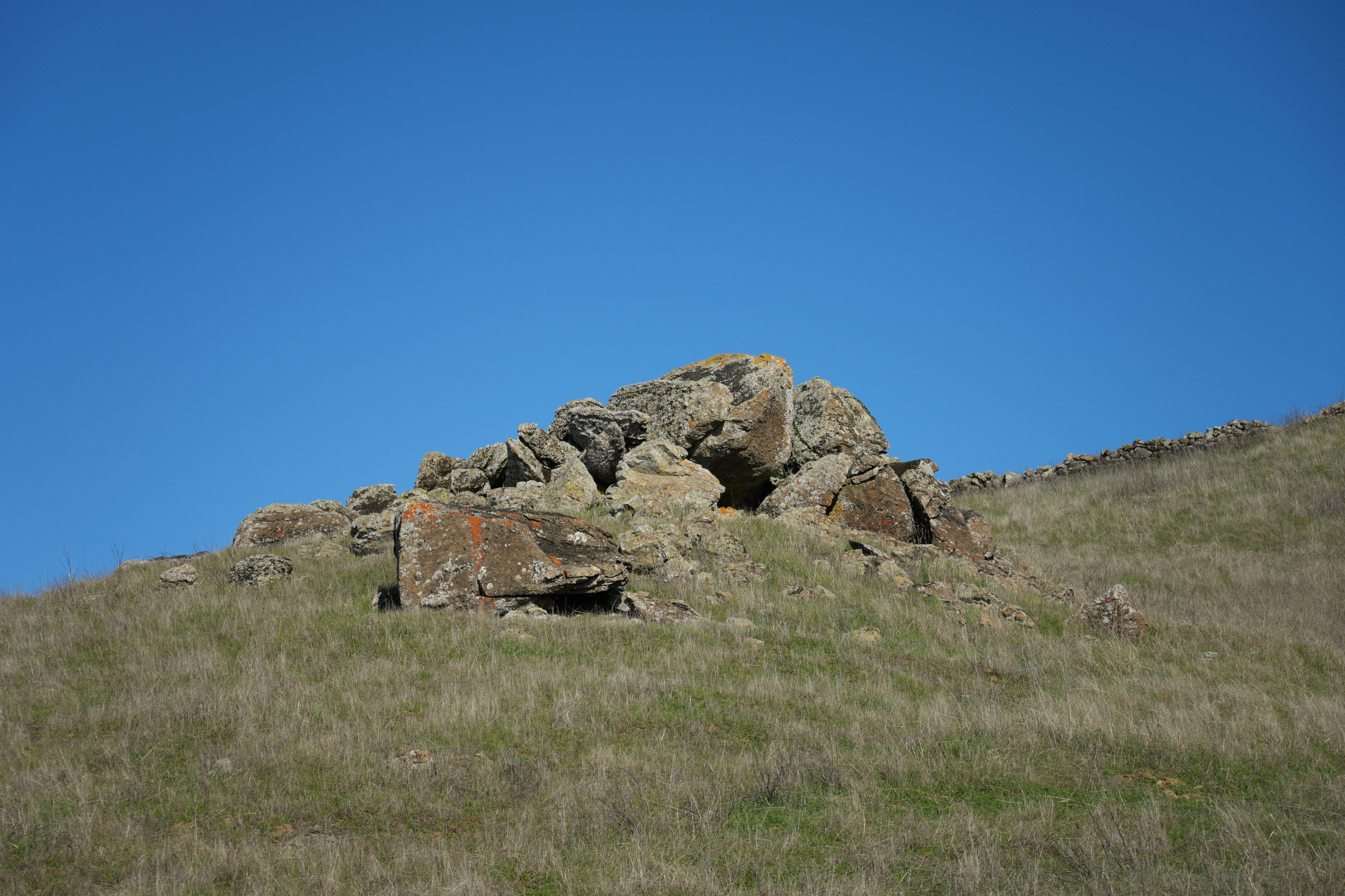 Ed R. Levin County Park