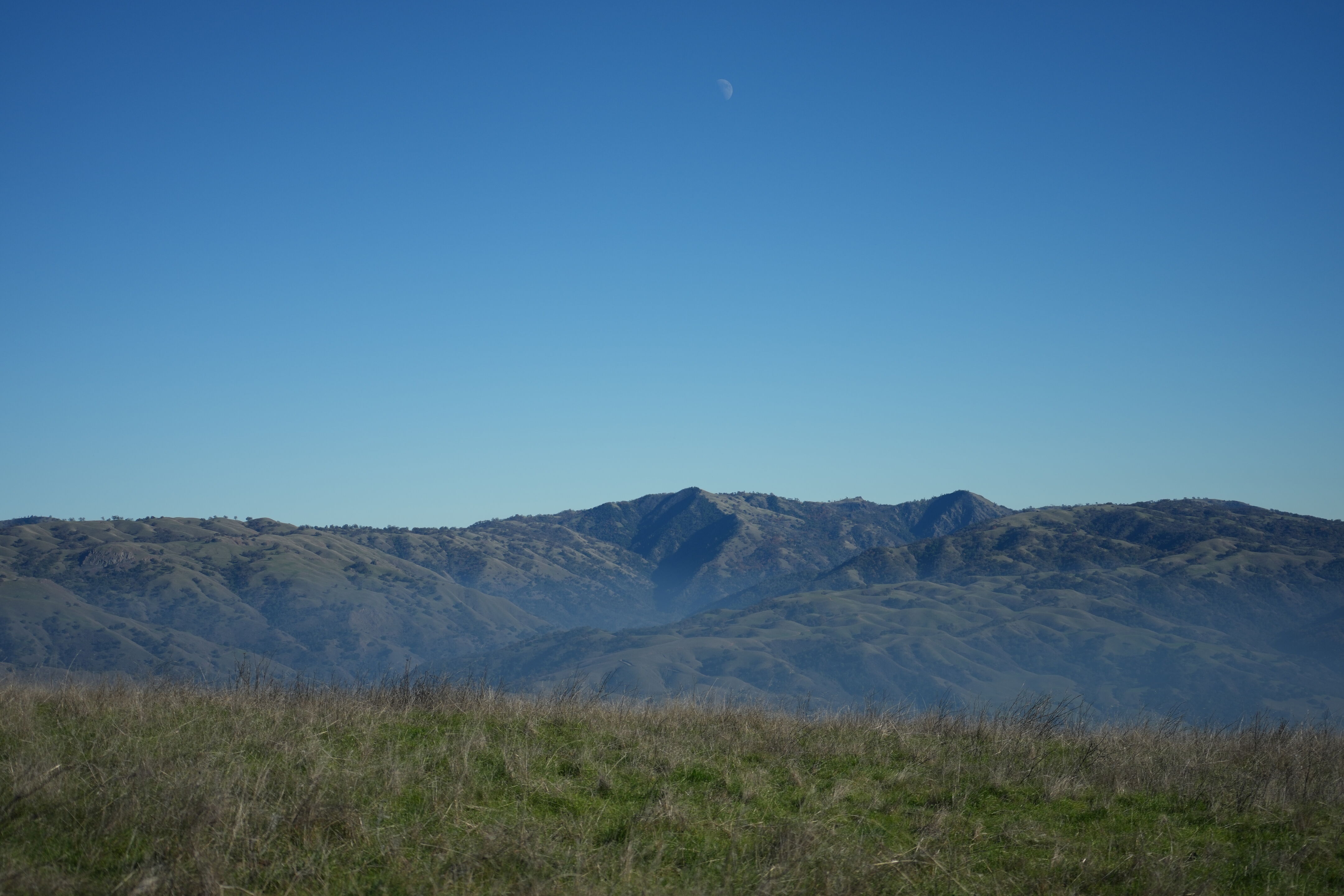 Ed R. Levin County Park