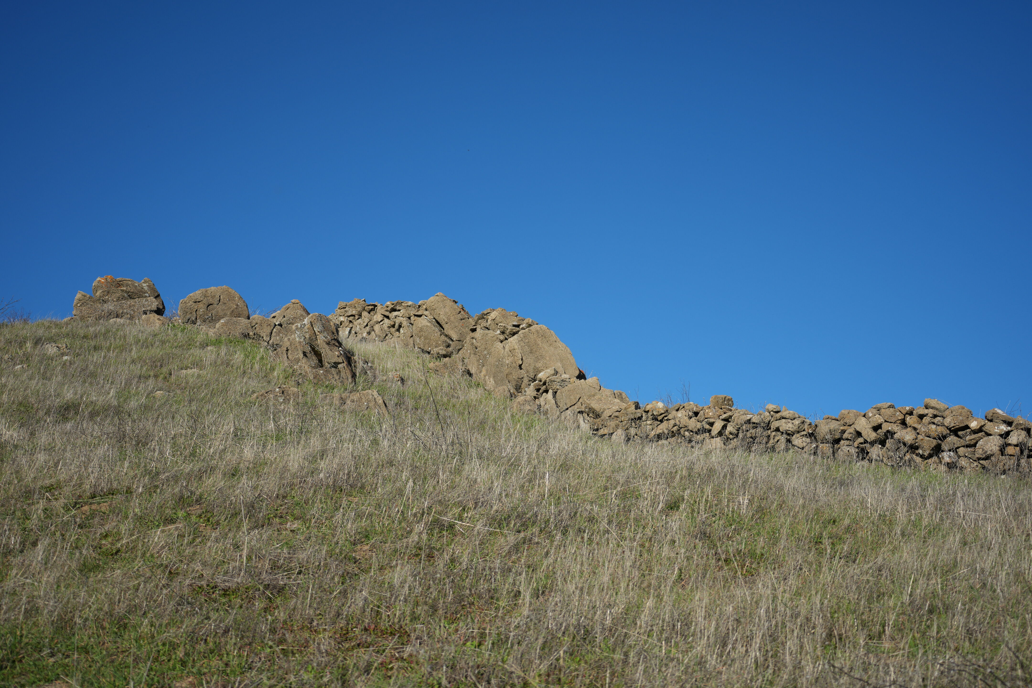 Ed R. Levin County Park