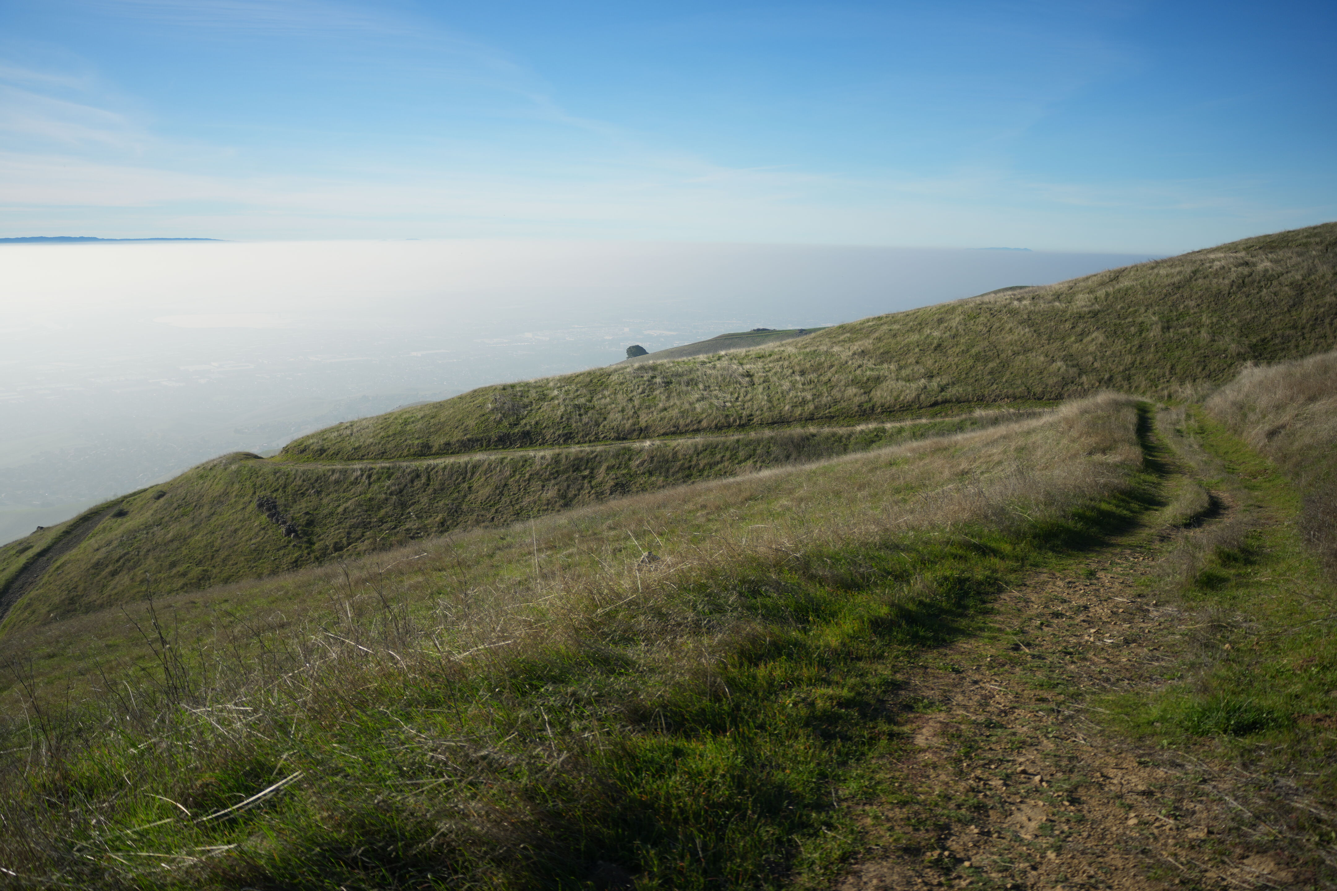 Ed R. Levin County Park