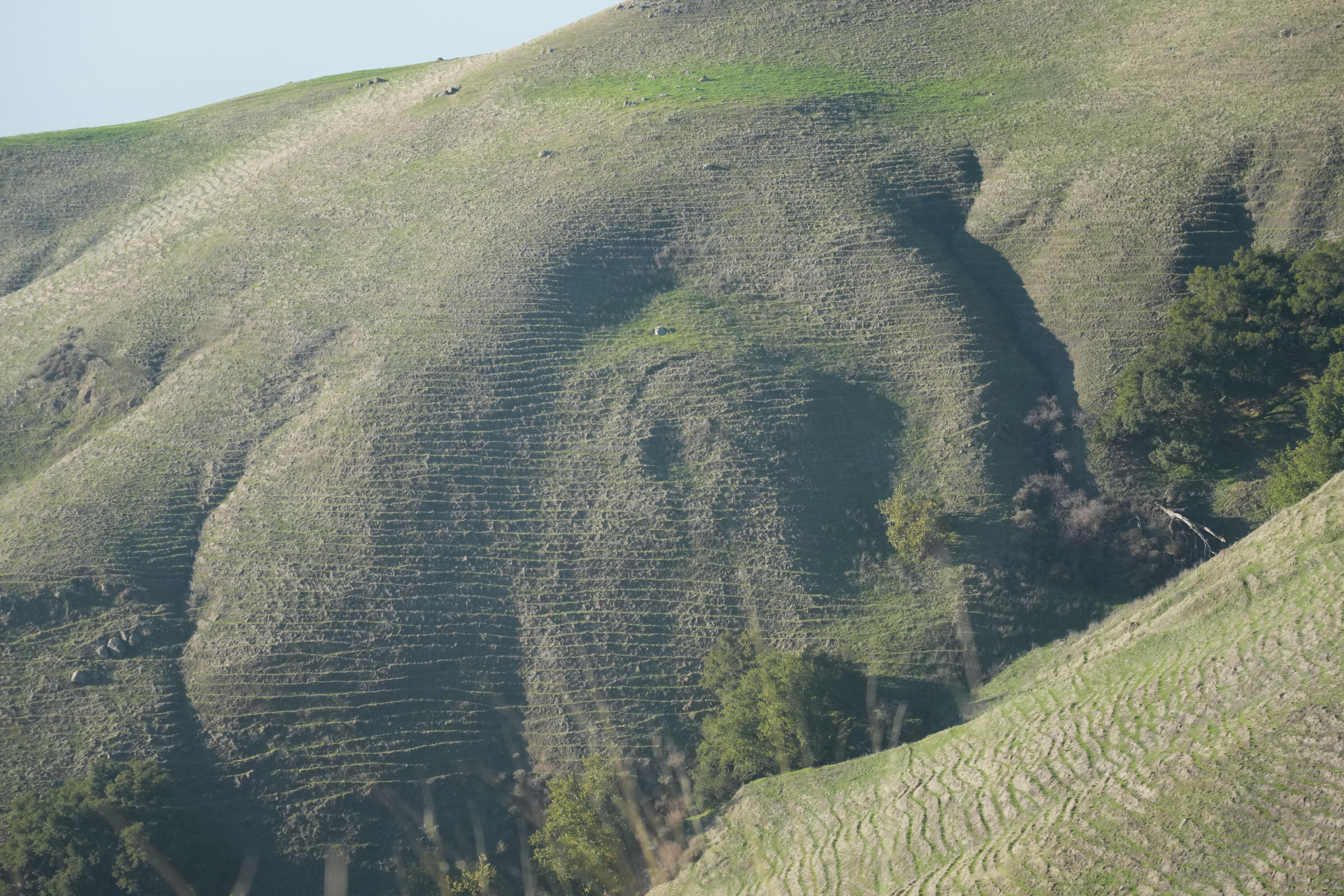 Ed R. Levin County Park