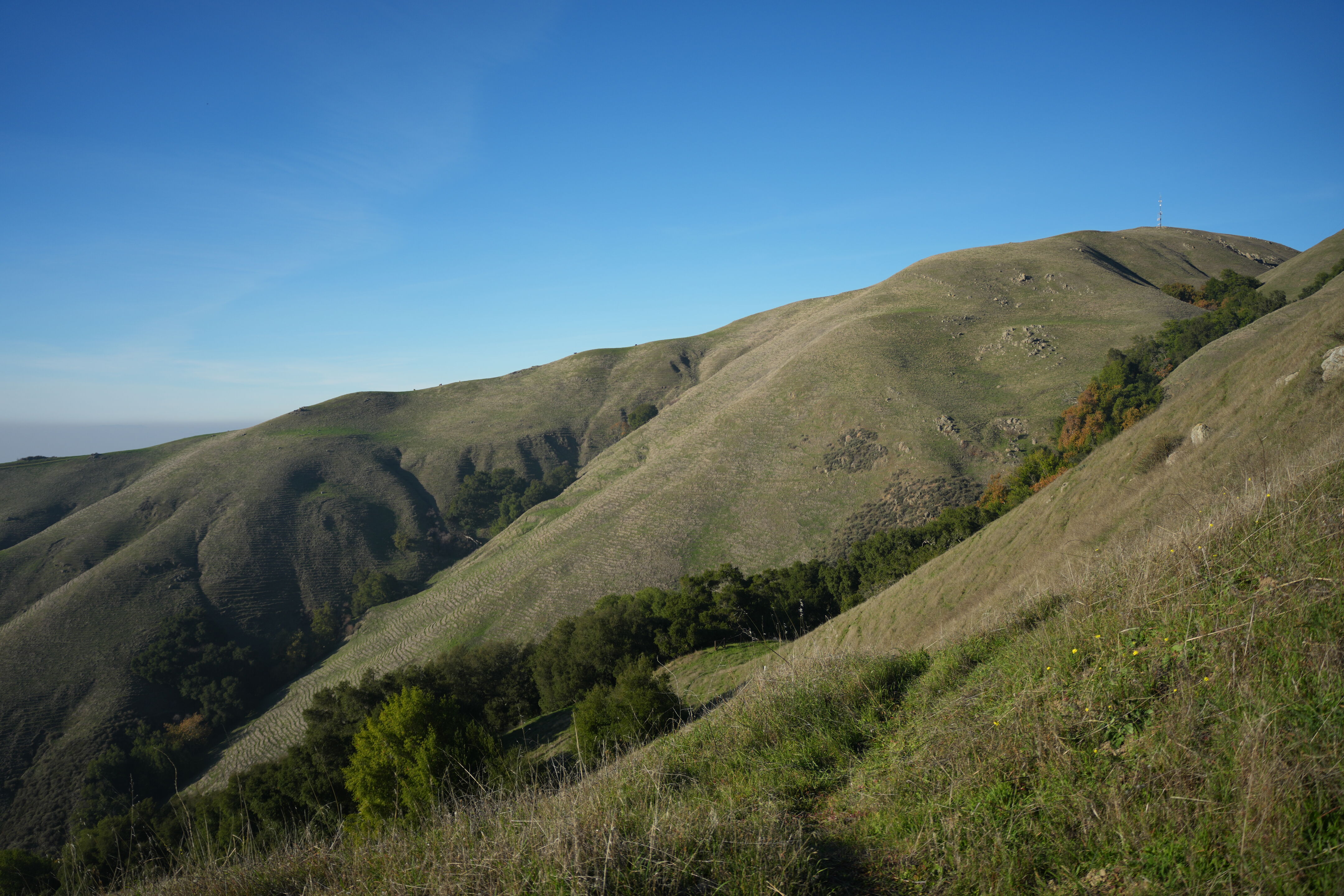 Ed R. Levin County Park