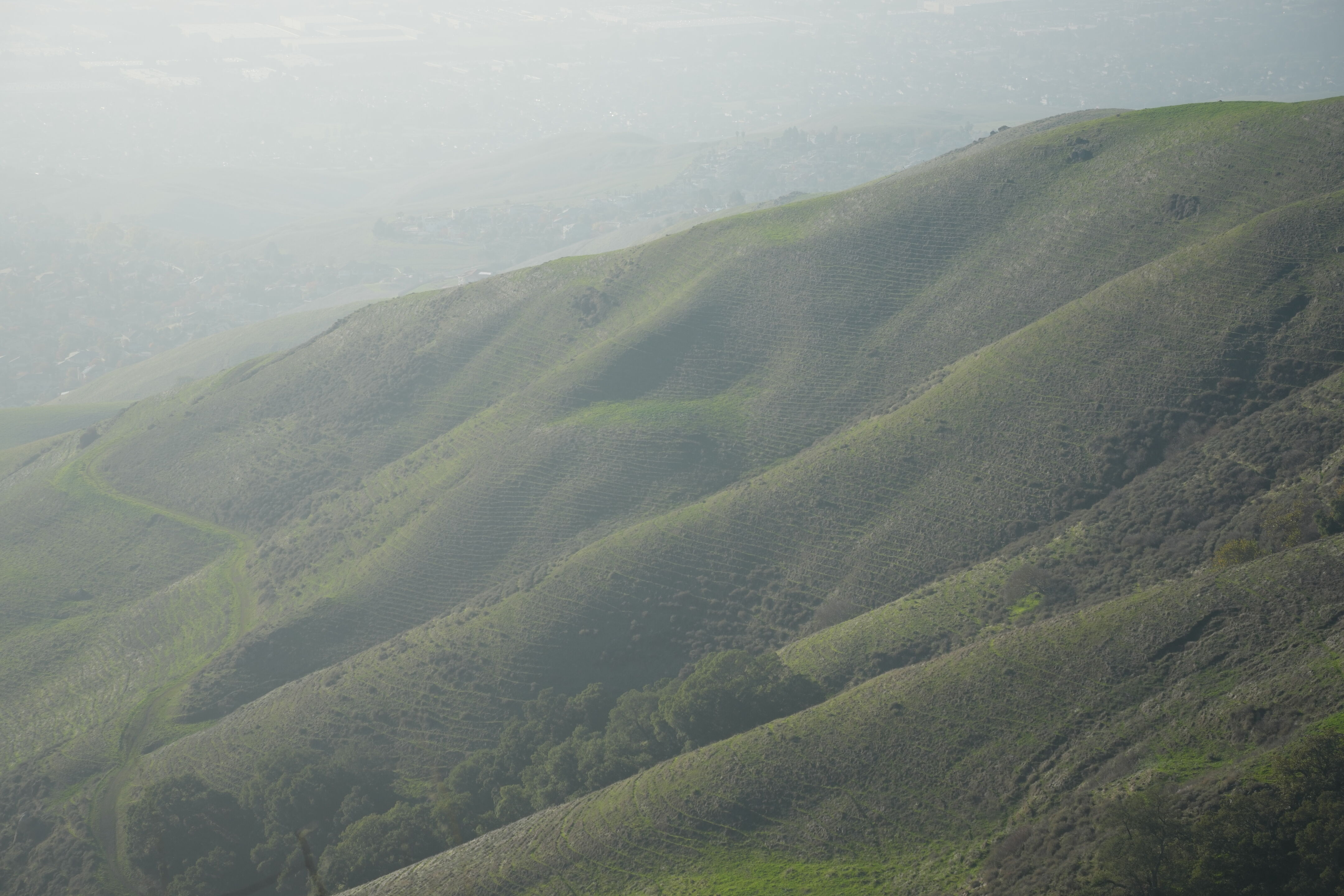 Ed R. Levin County Park