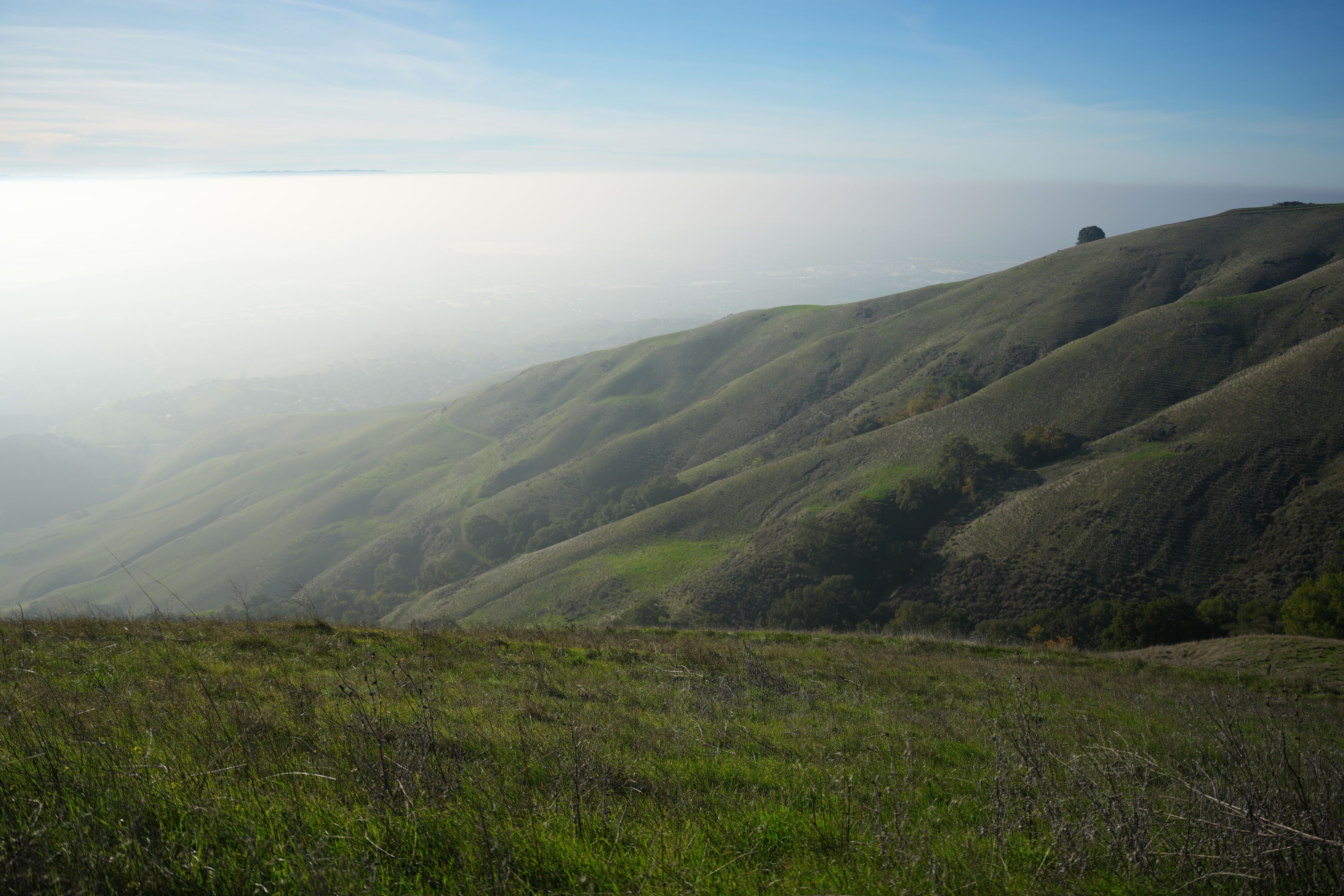 Ed R. Levin County Park