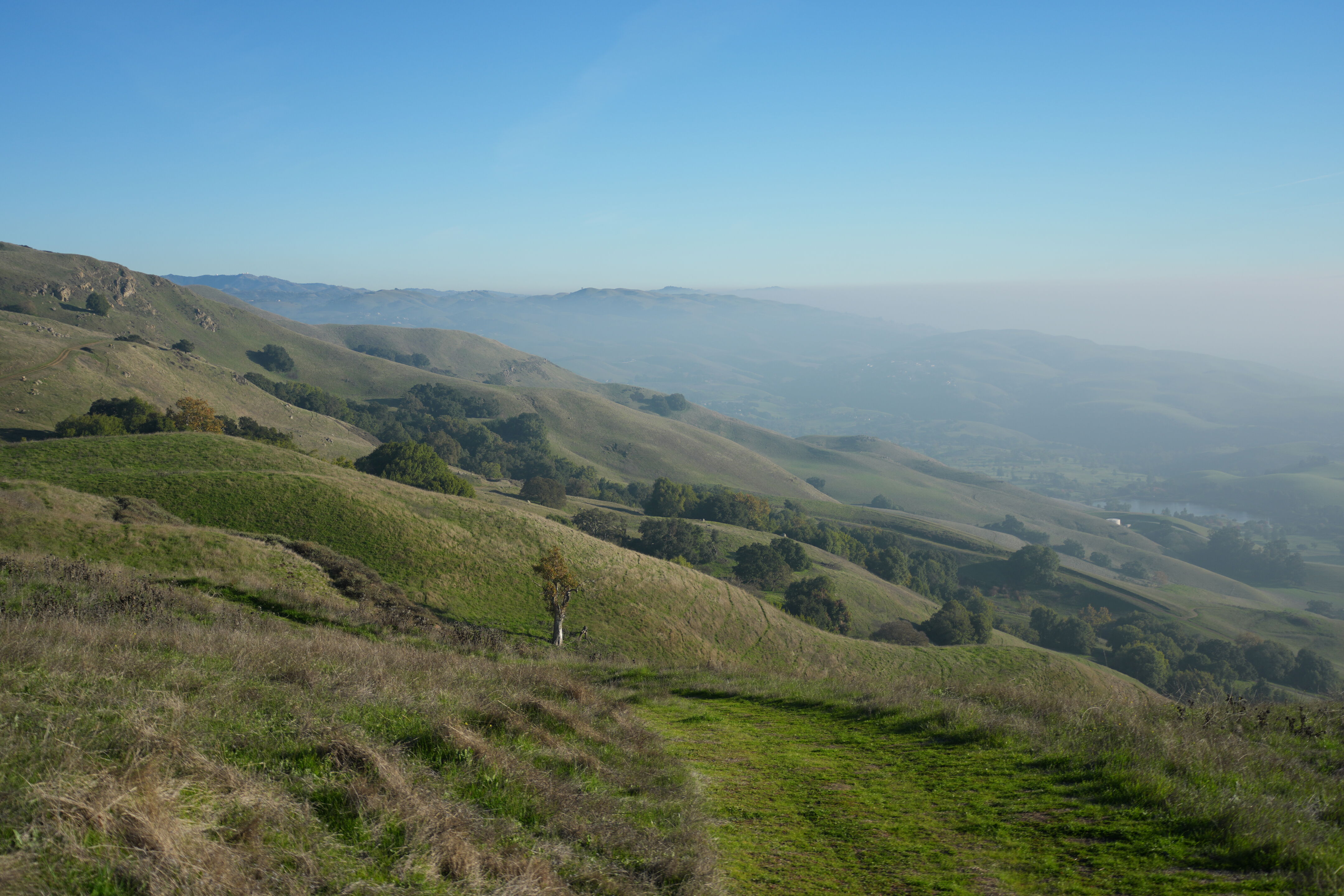 Ed R. Levin County Park
