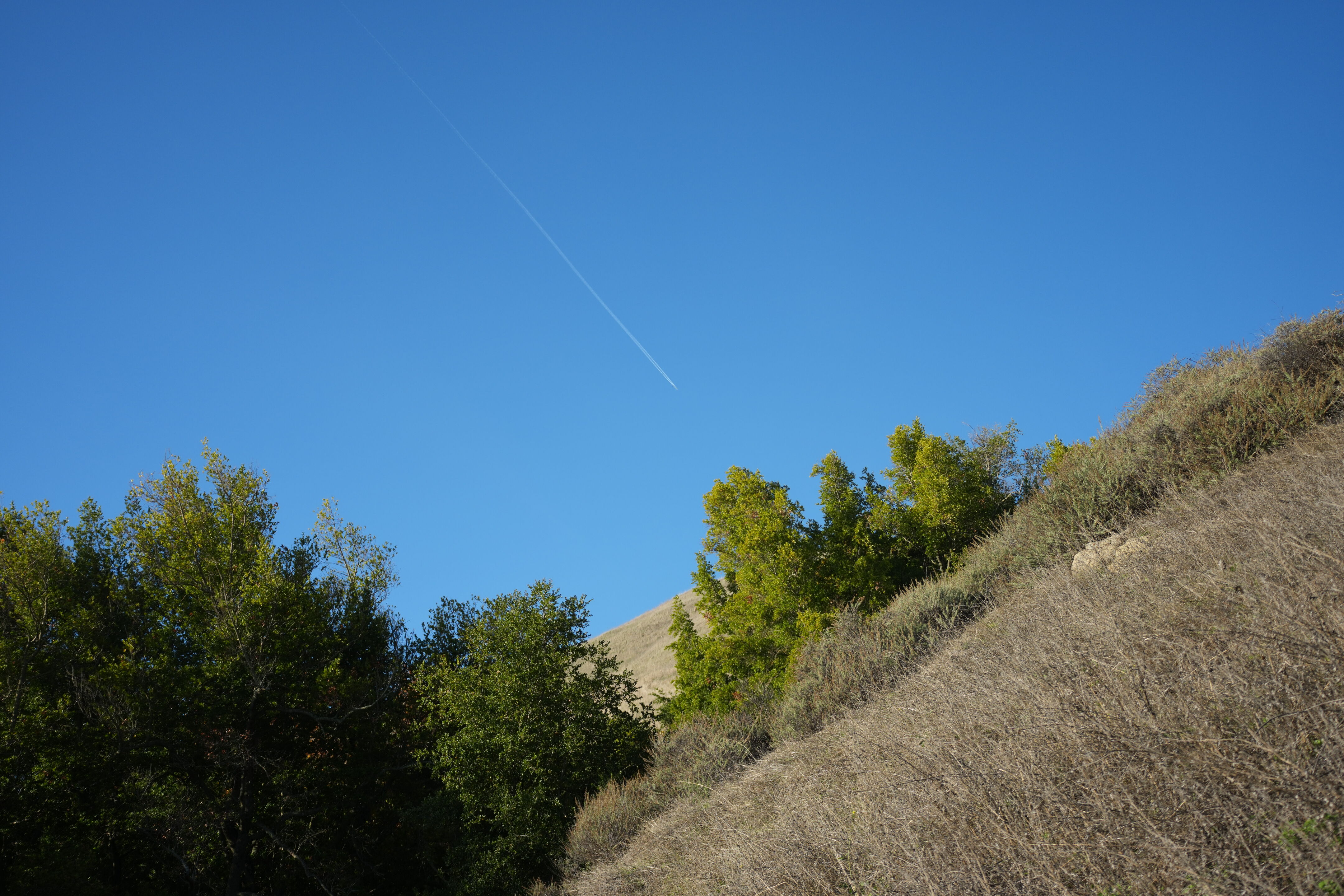 Ed R. Levin County Park