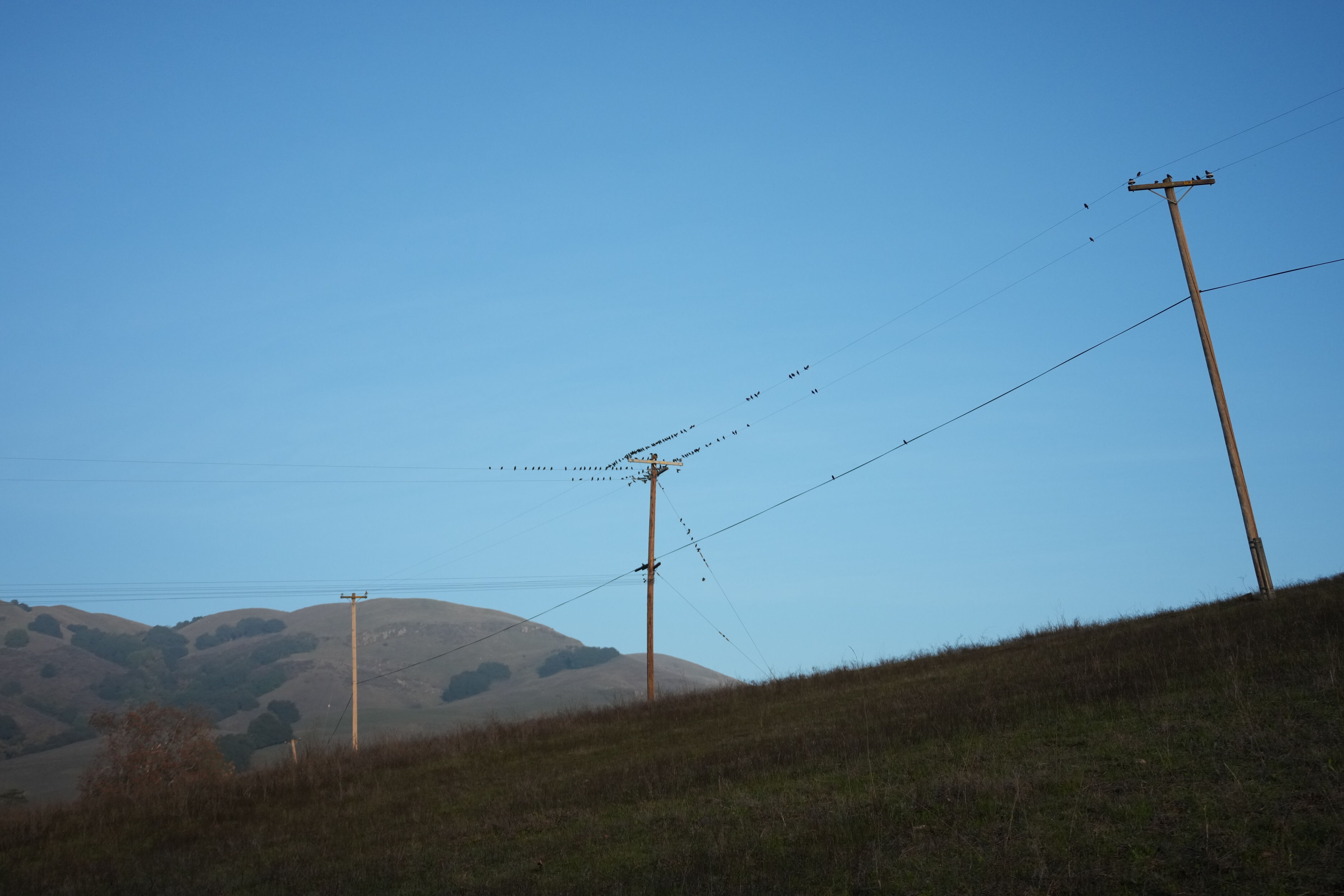 Ed R. Levin County Park