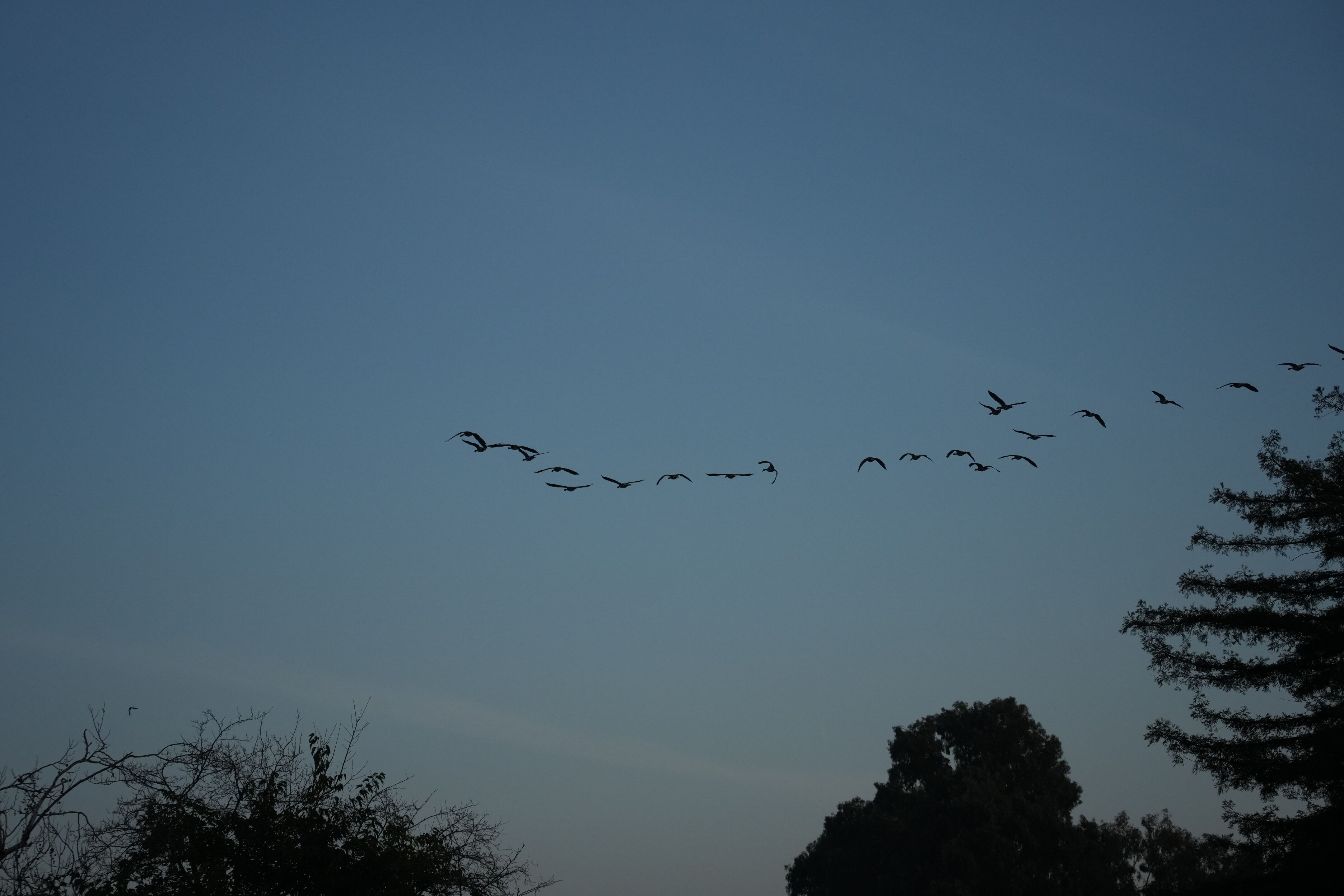Ed R. Levin County Park