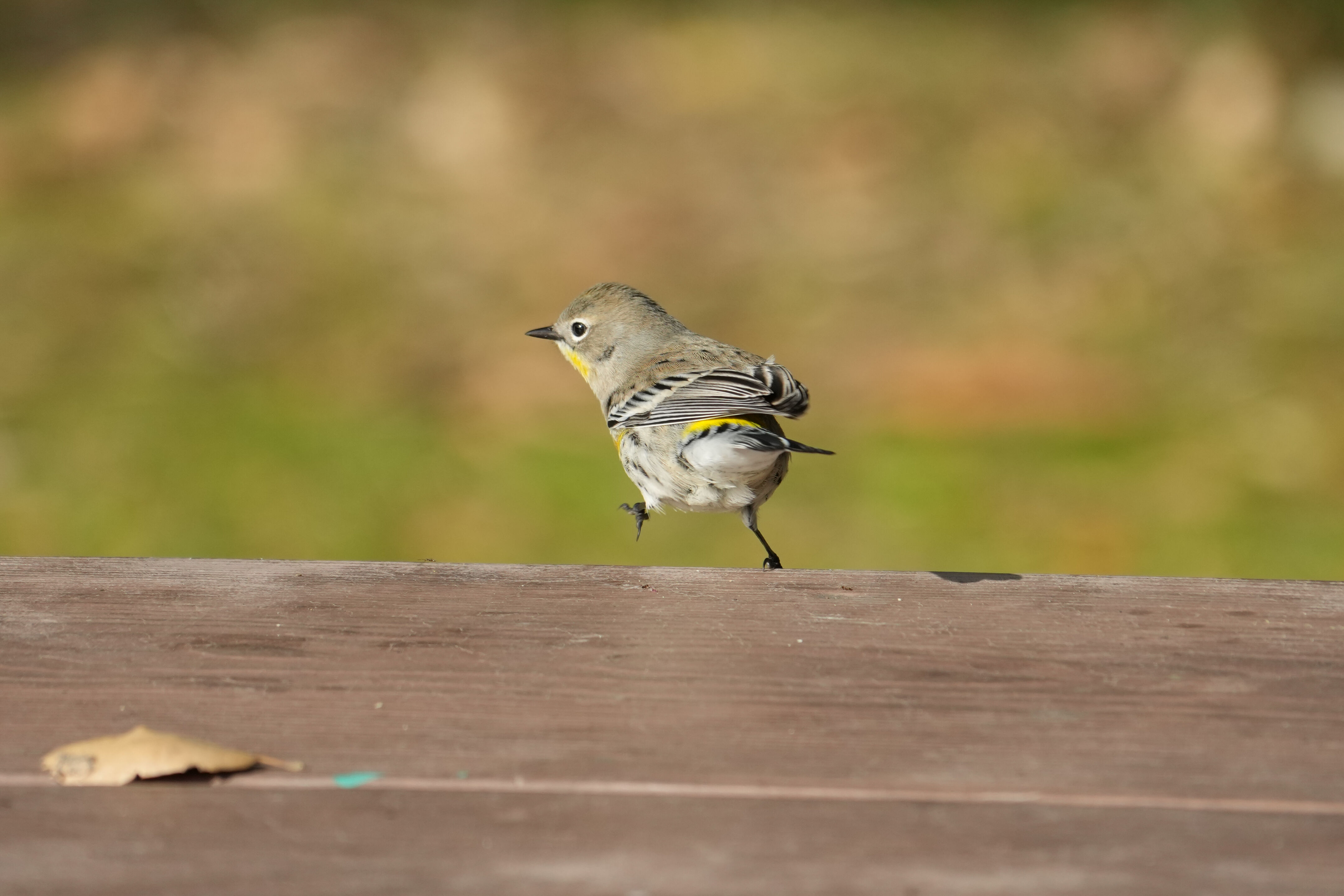 Ed R. Levin County Park