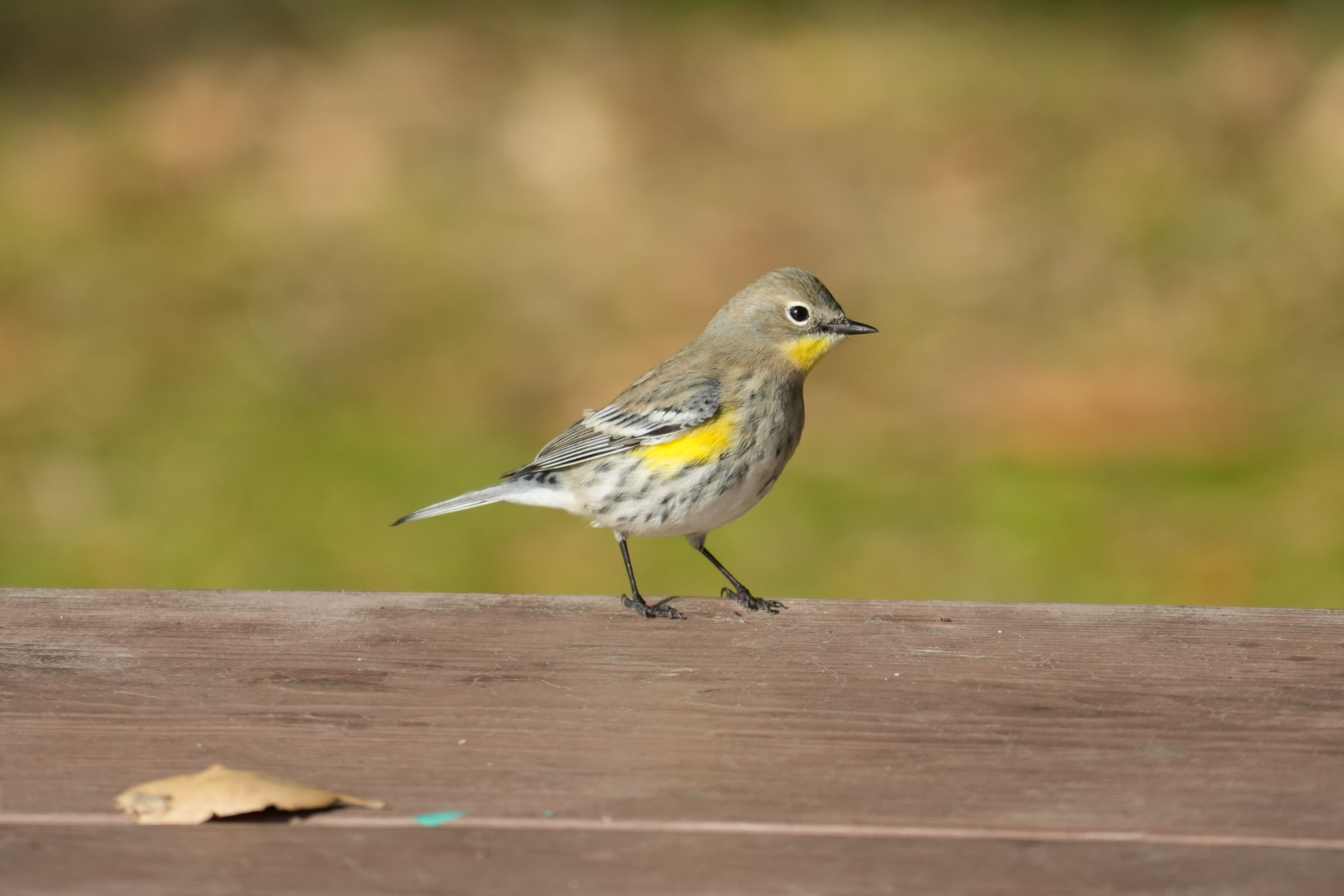 Ed R. Levin County Park