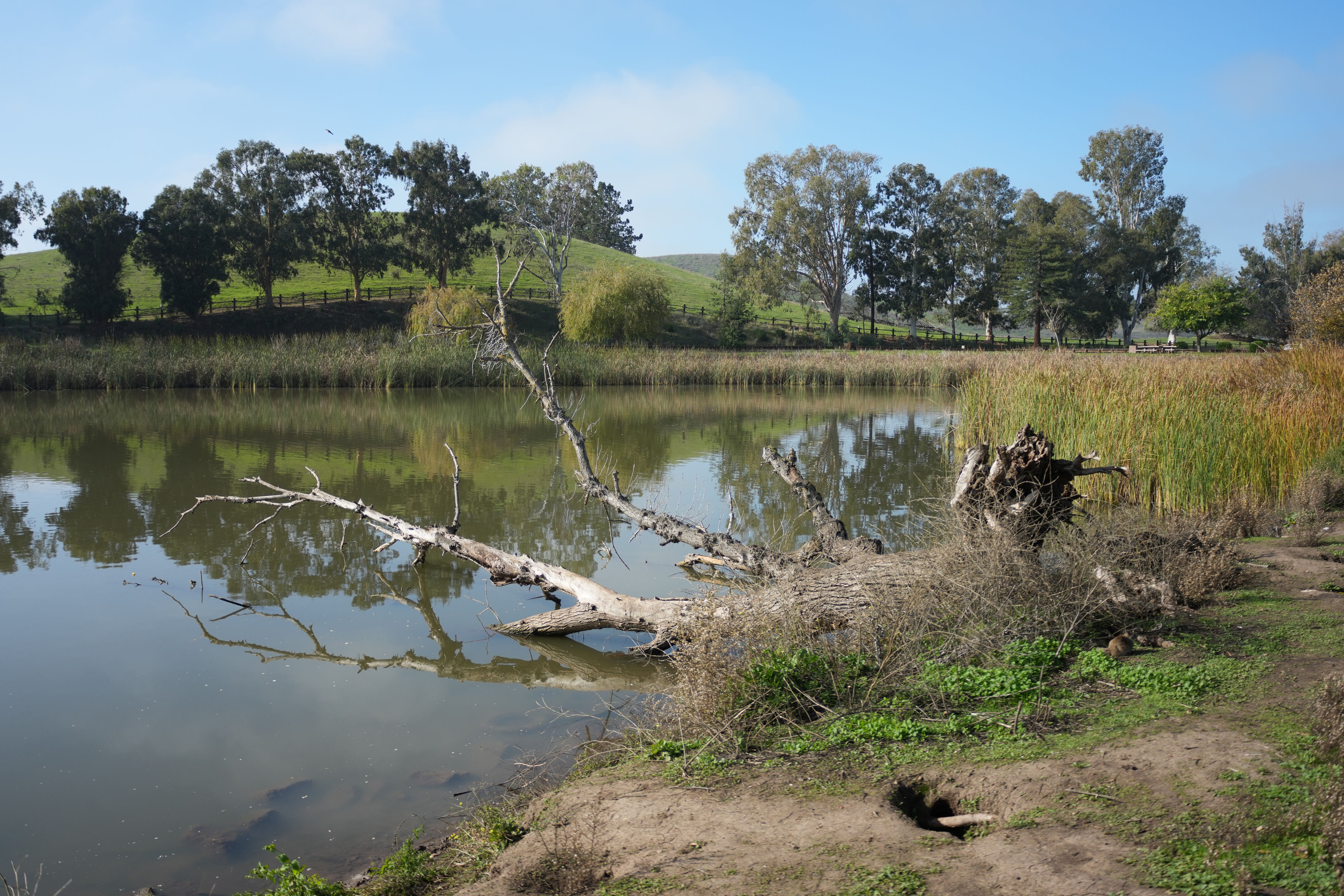 Ed R. Levin County Park
