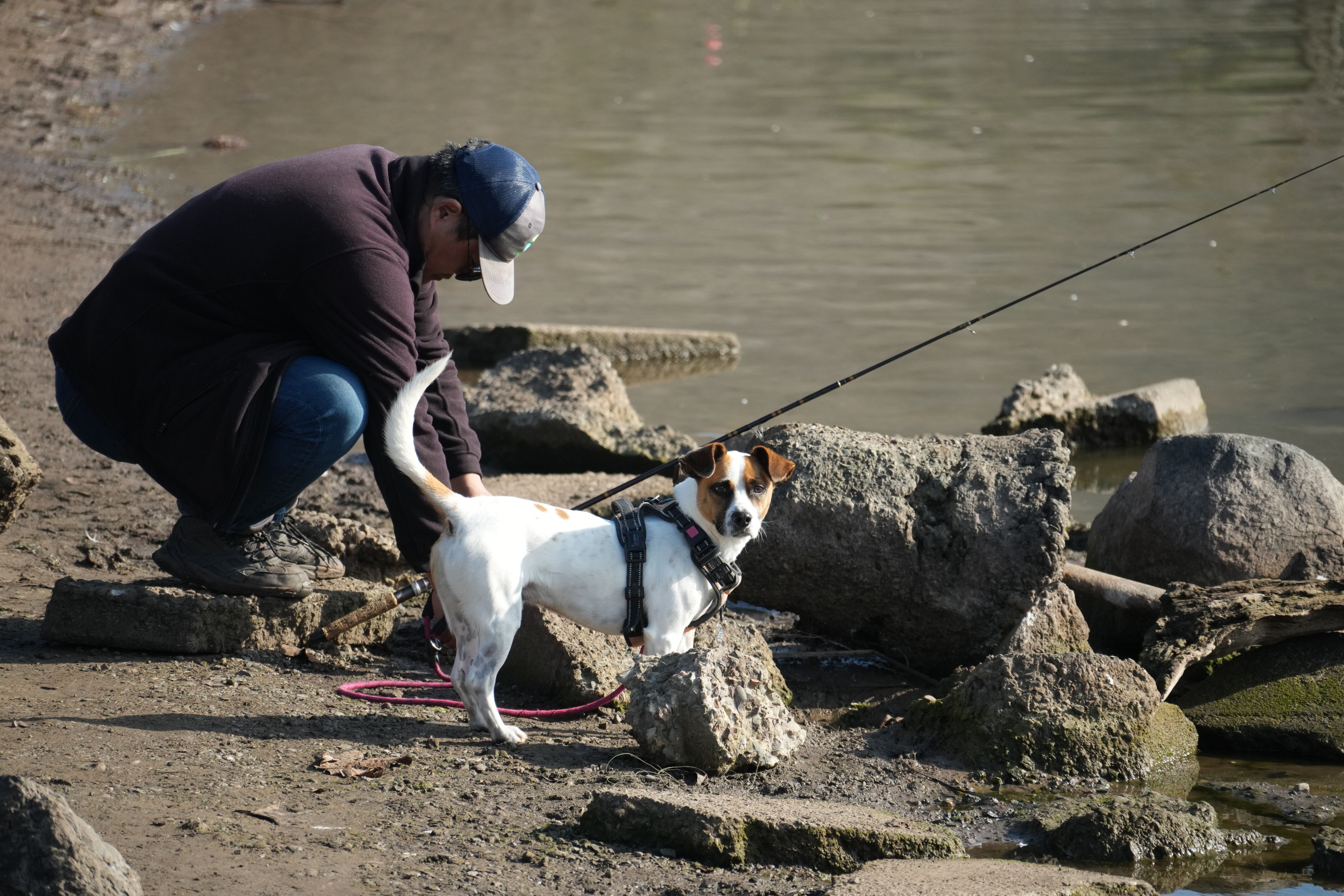 Ed R. Levin County Park