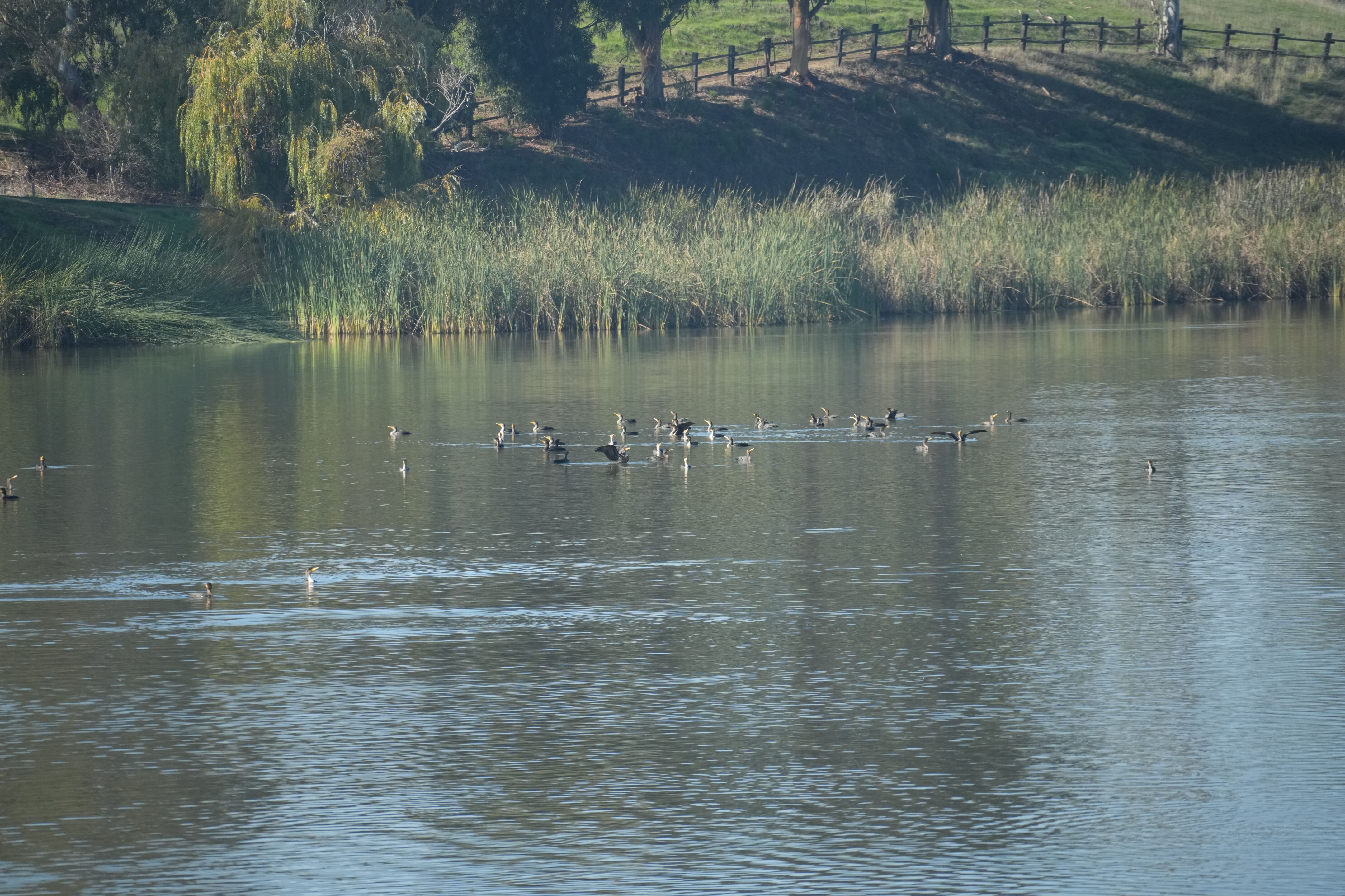 Ed R. Levin County Park