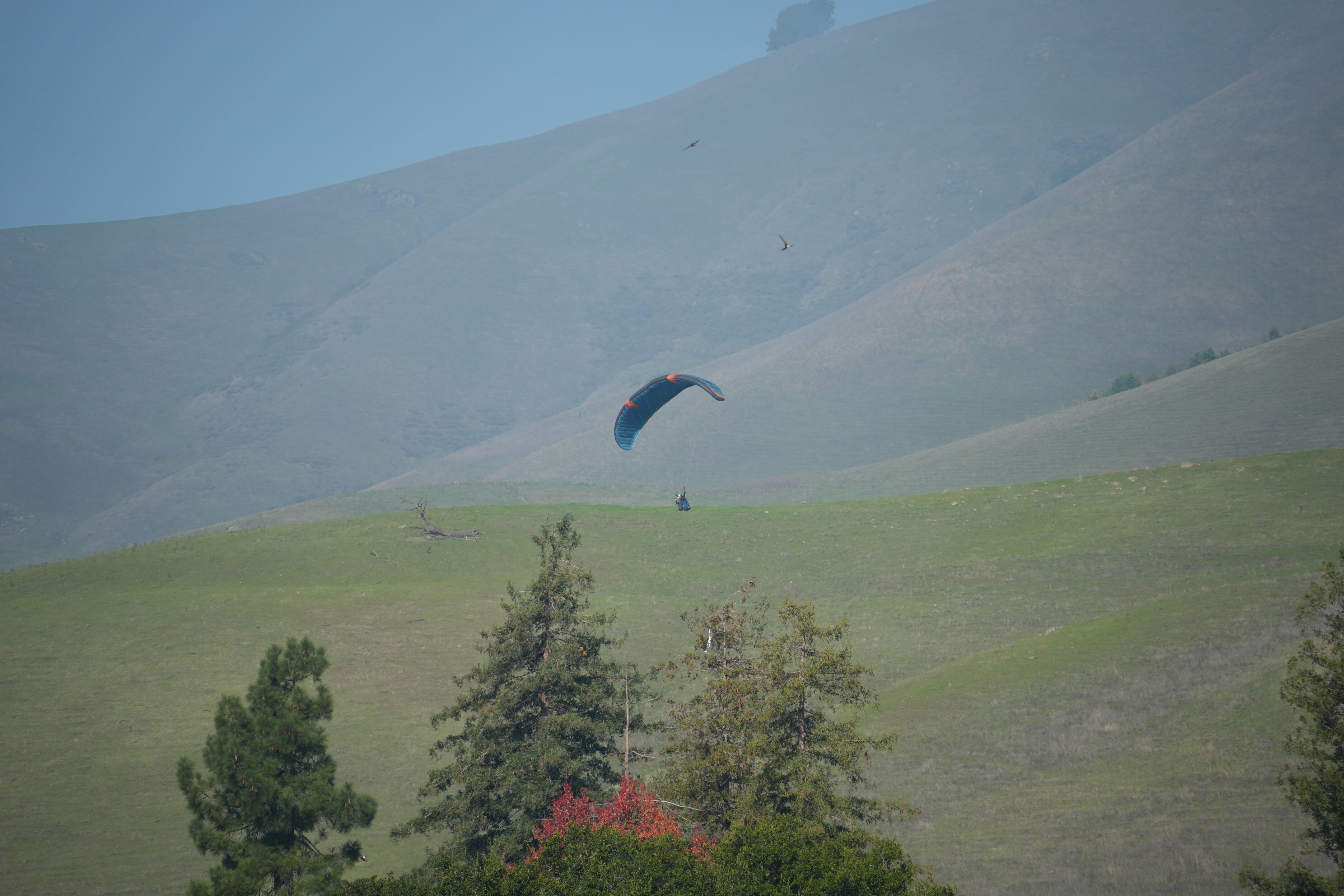 Ed R. Levin County Park