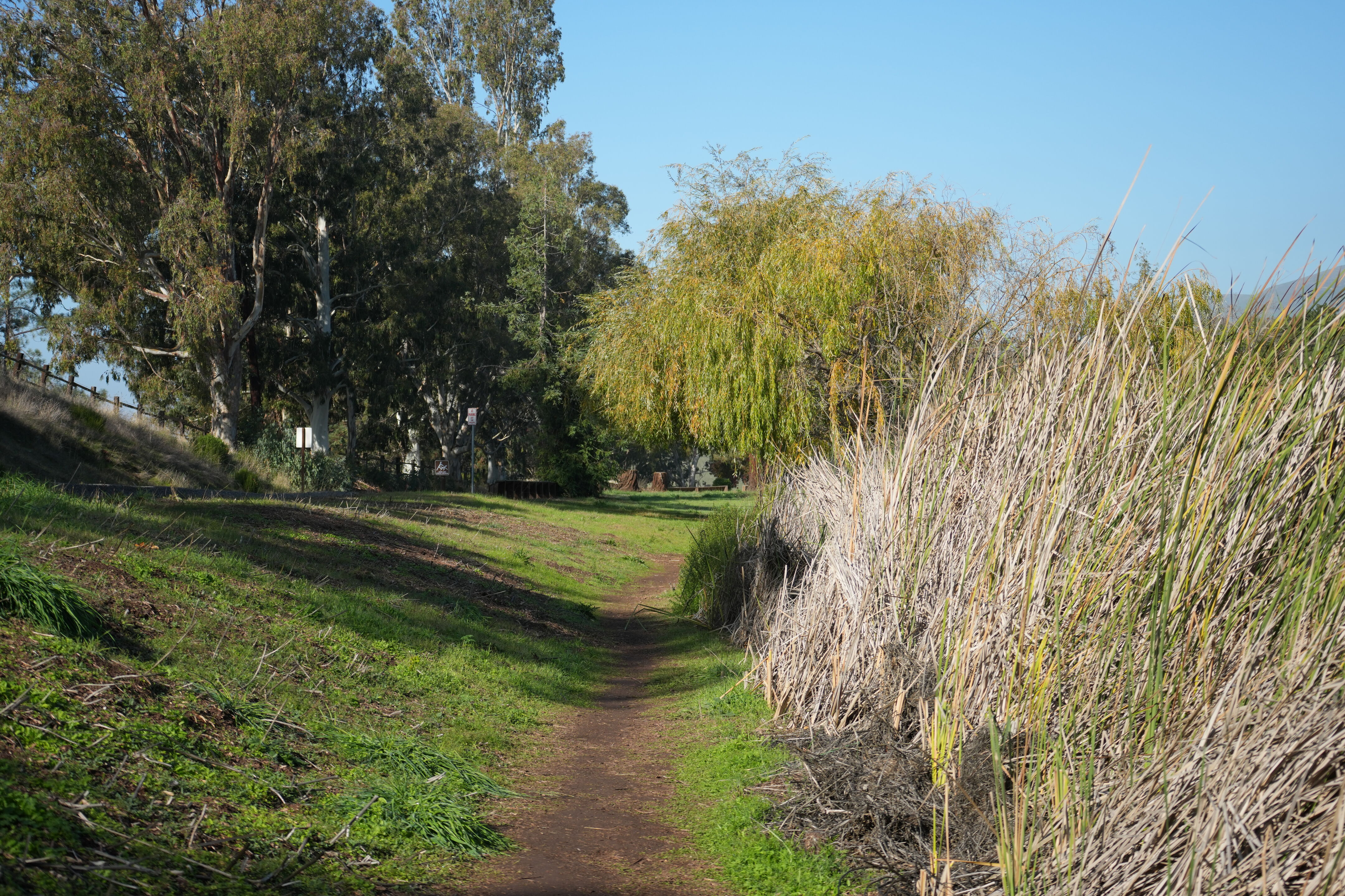 Ed R. Levin County Park