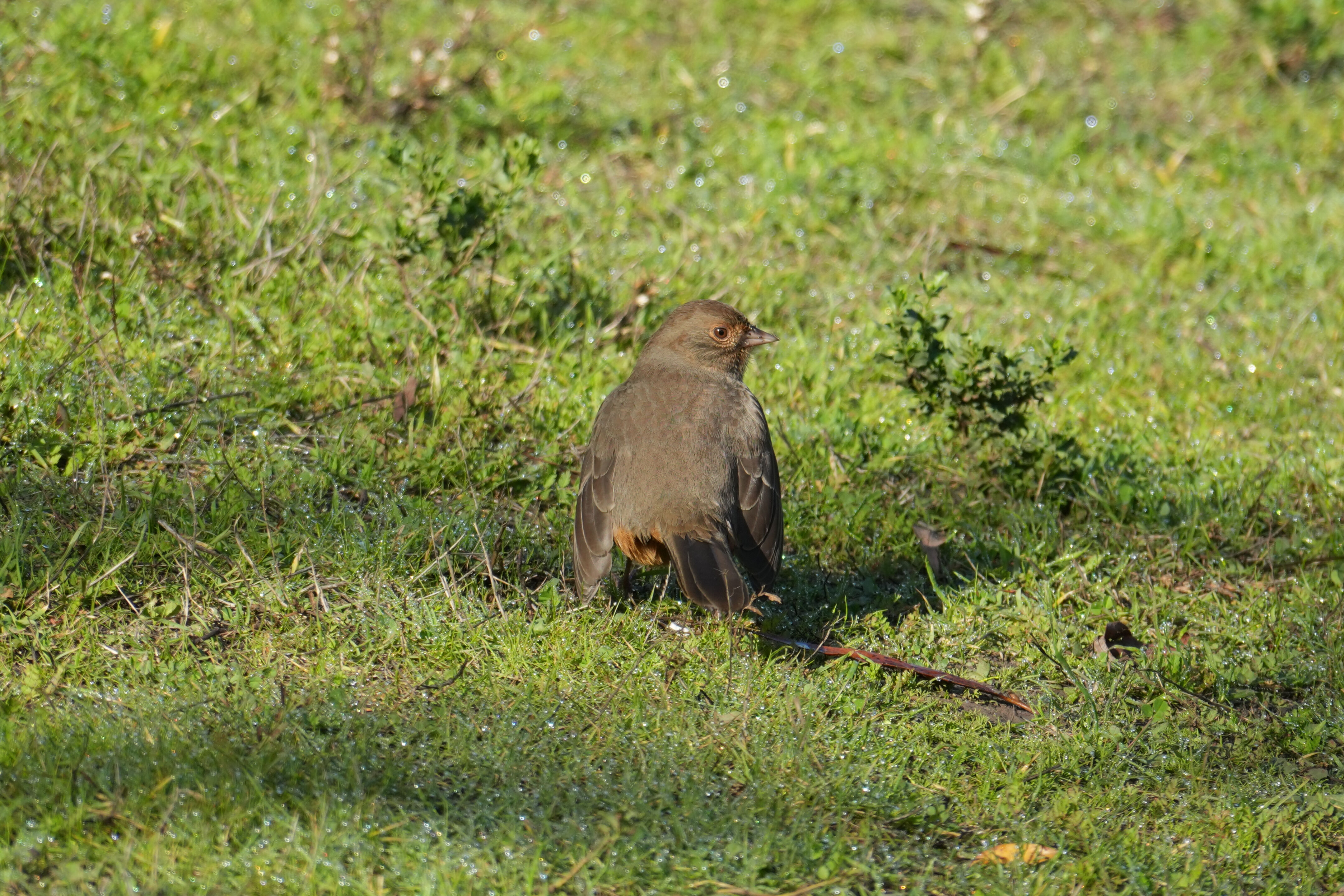 Ed R. Levin County Park