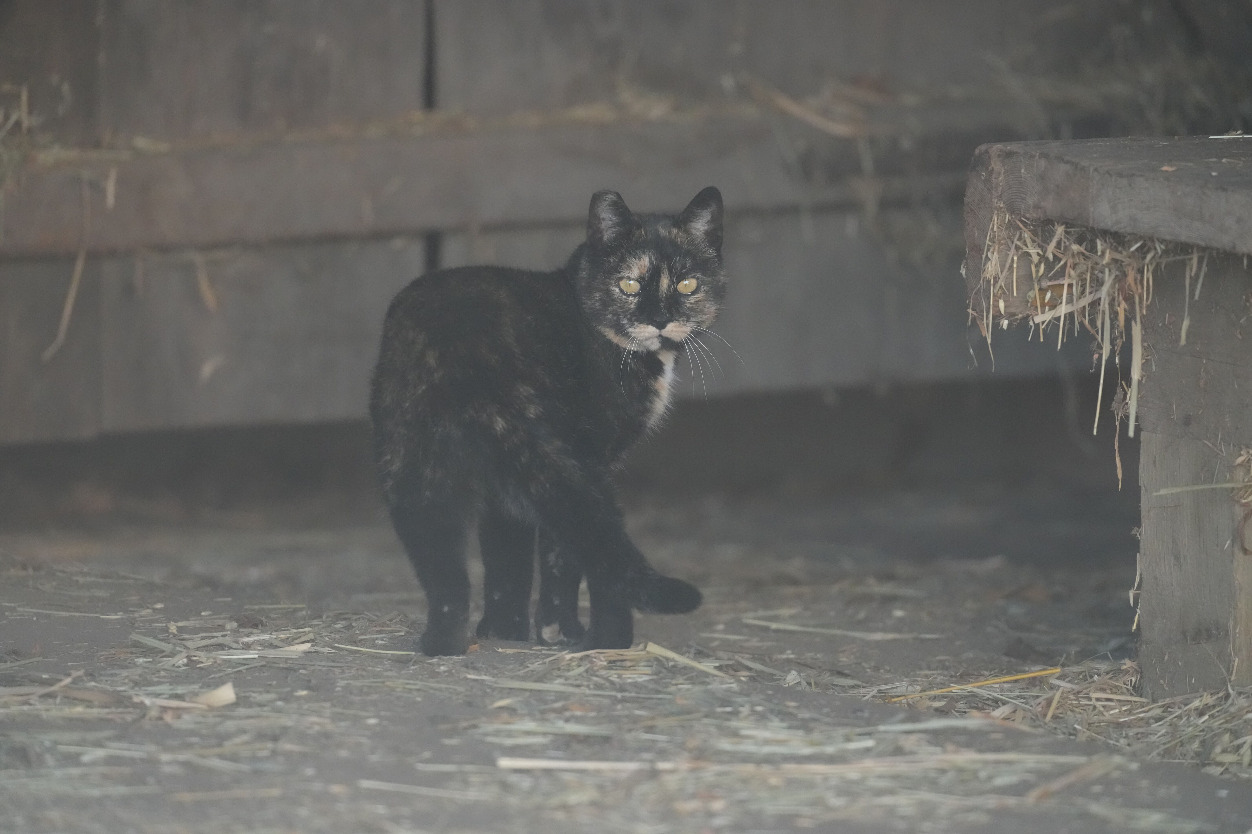 Ardenwood Historic Farm