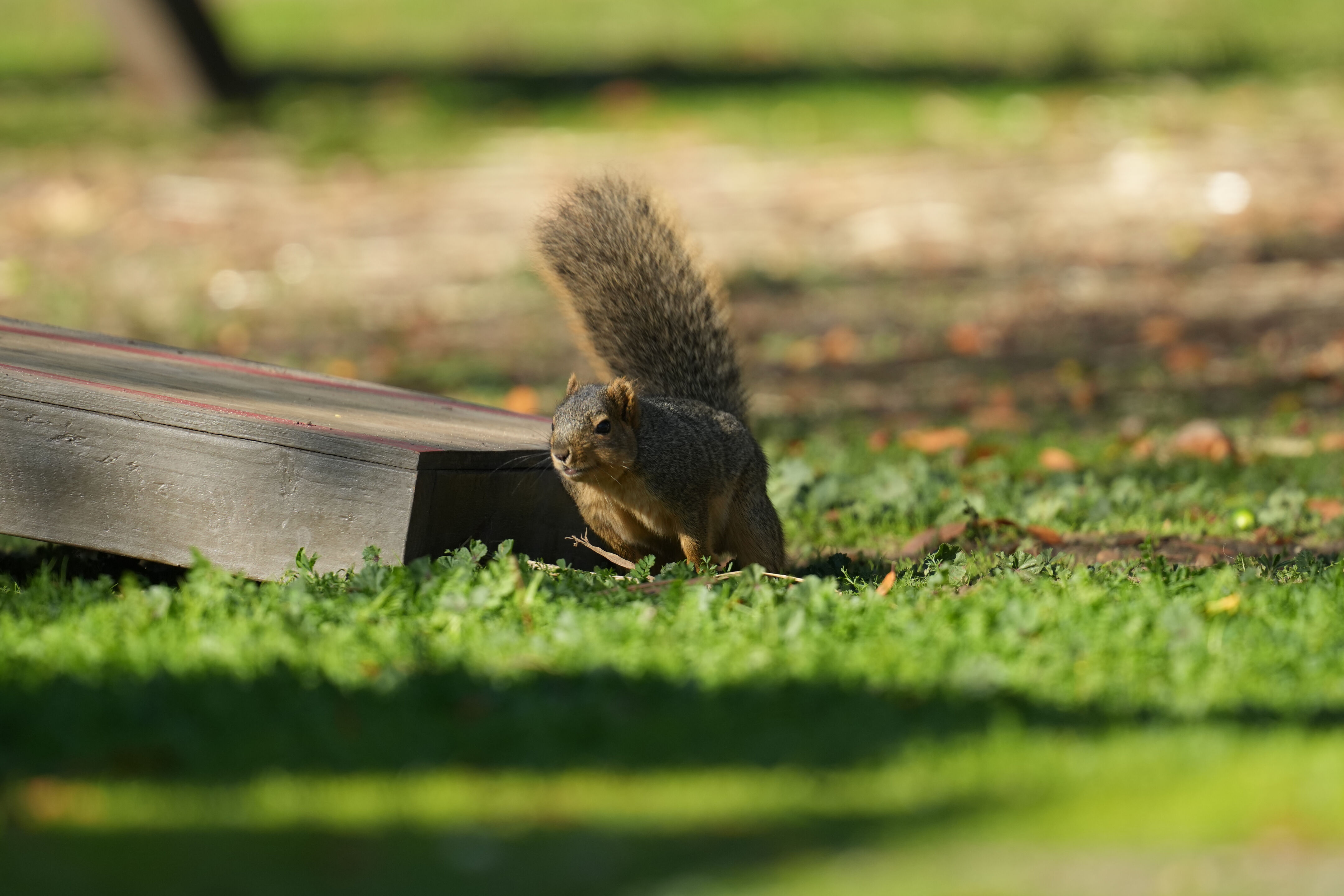 Ardenwood Historic Farm