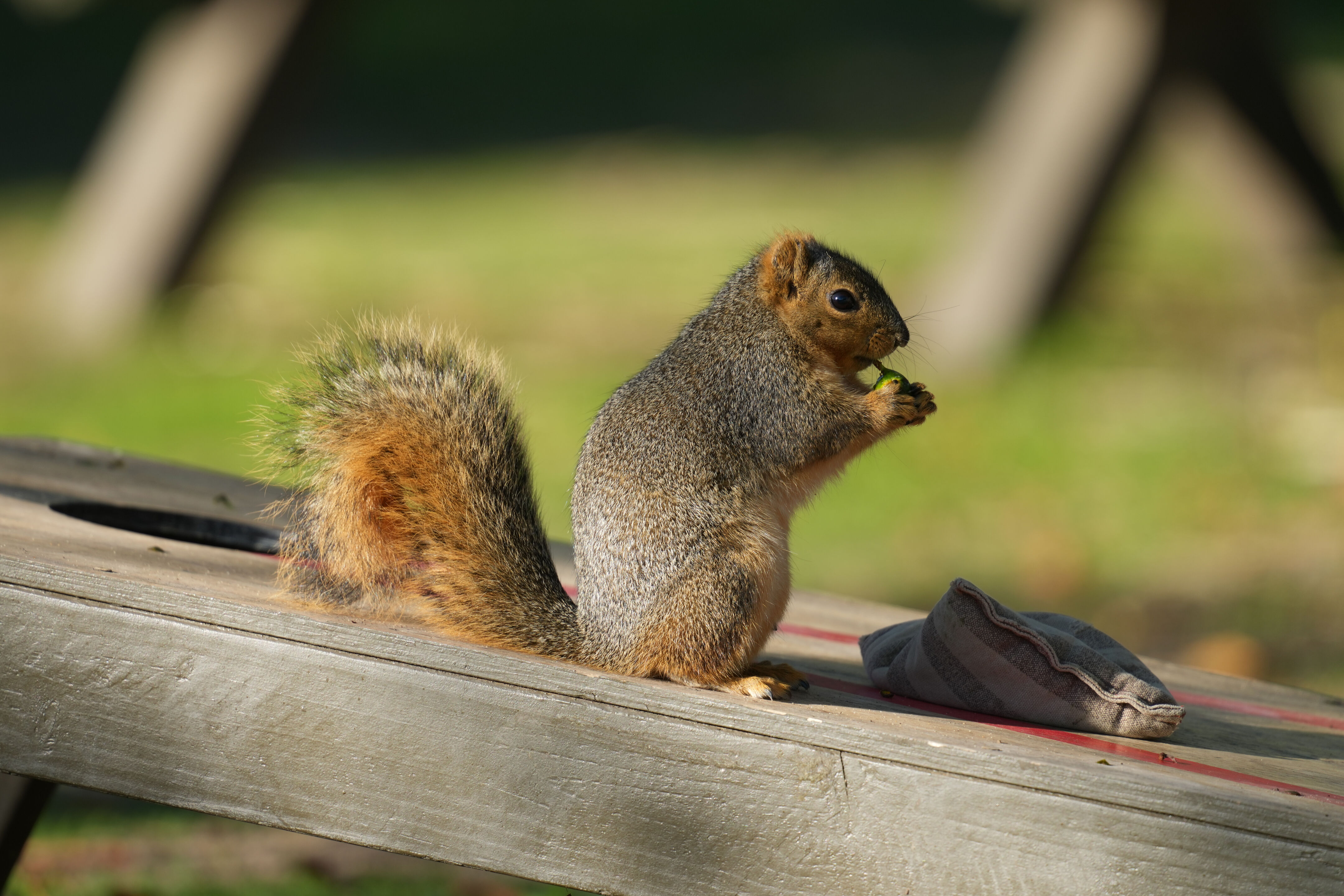 Ardenwood Historic Farm