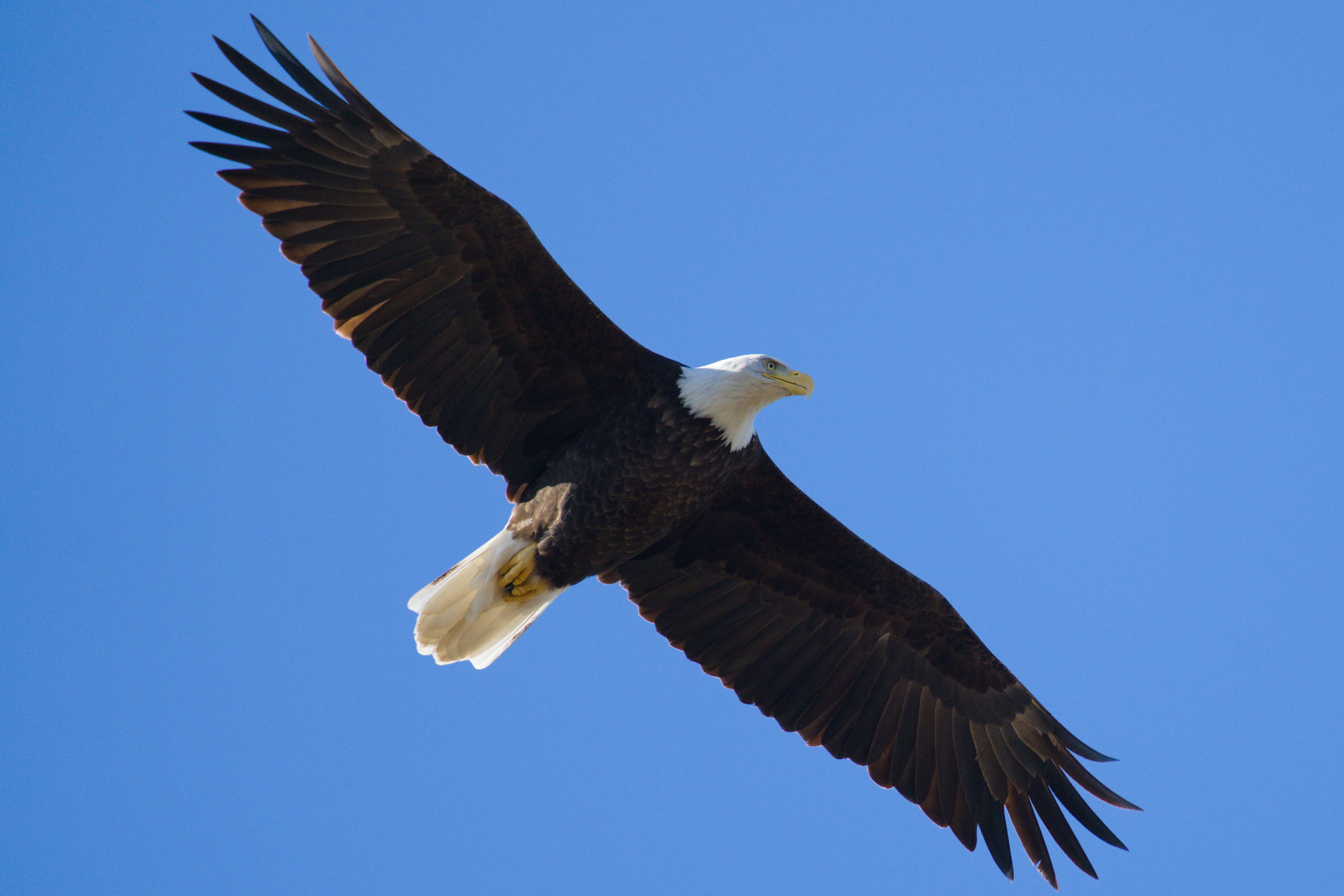 Ardenwood Historic Farm