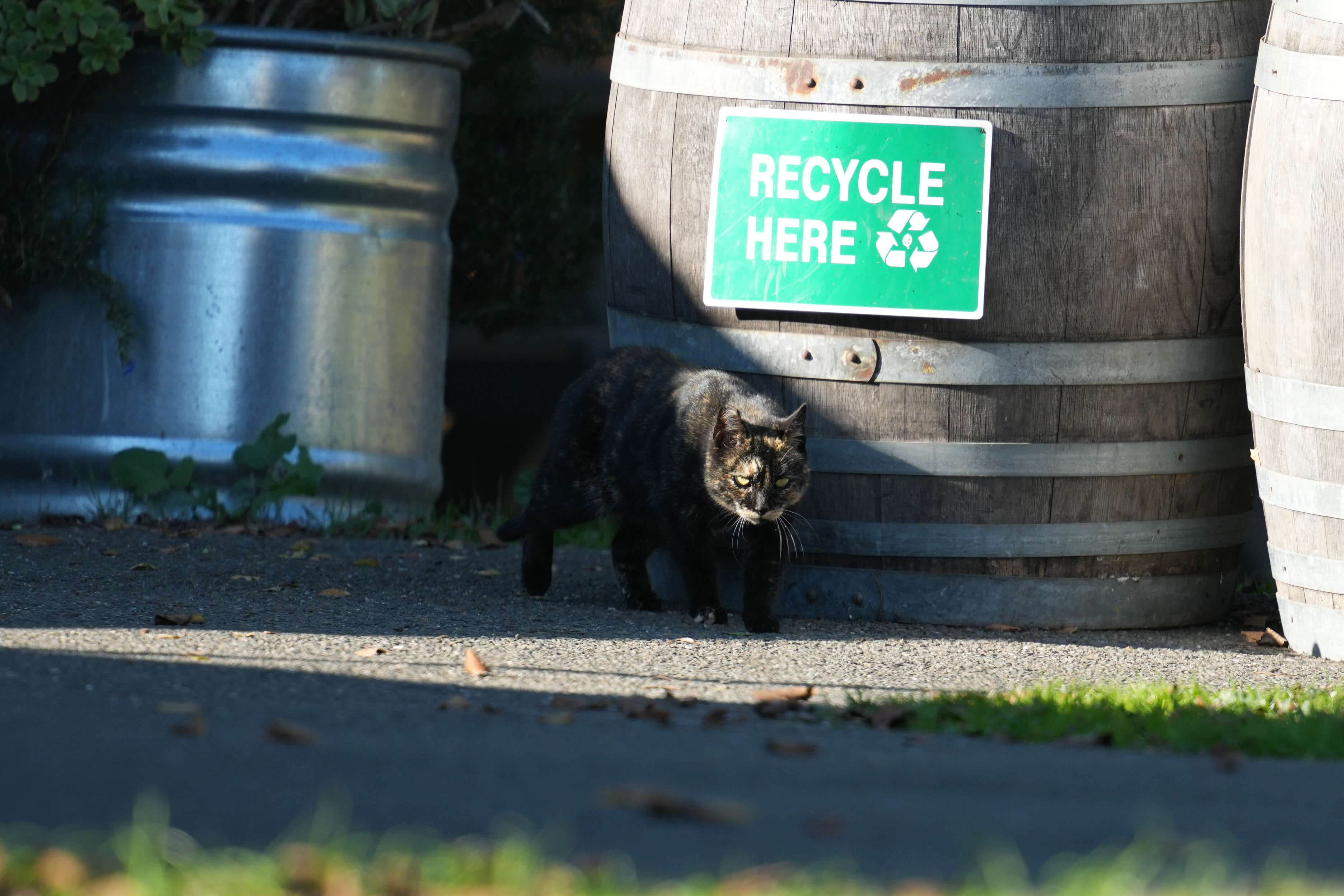 Ardenwood Historic Farm
