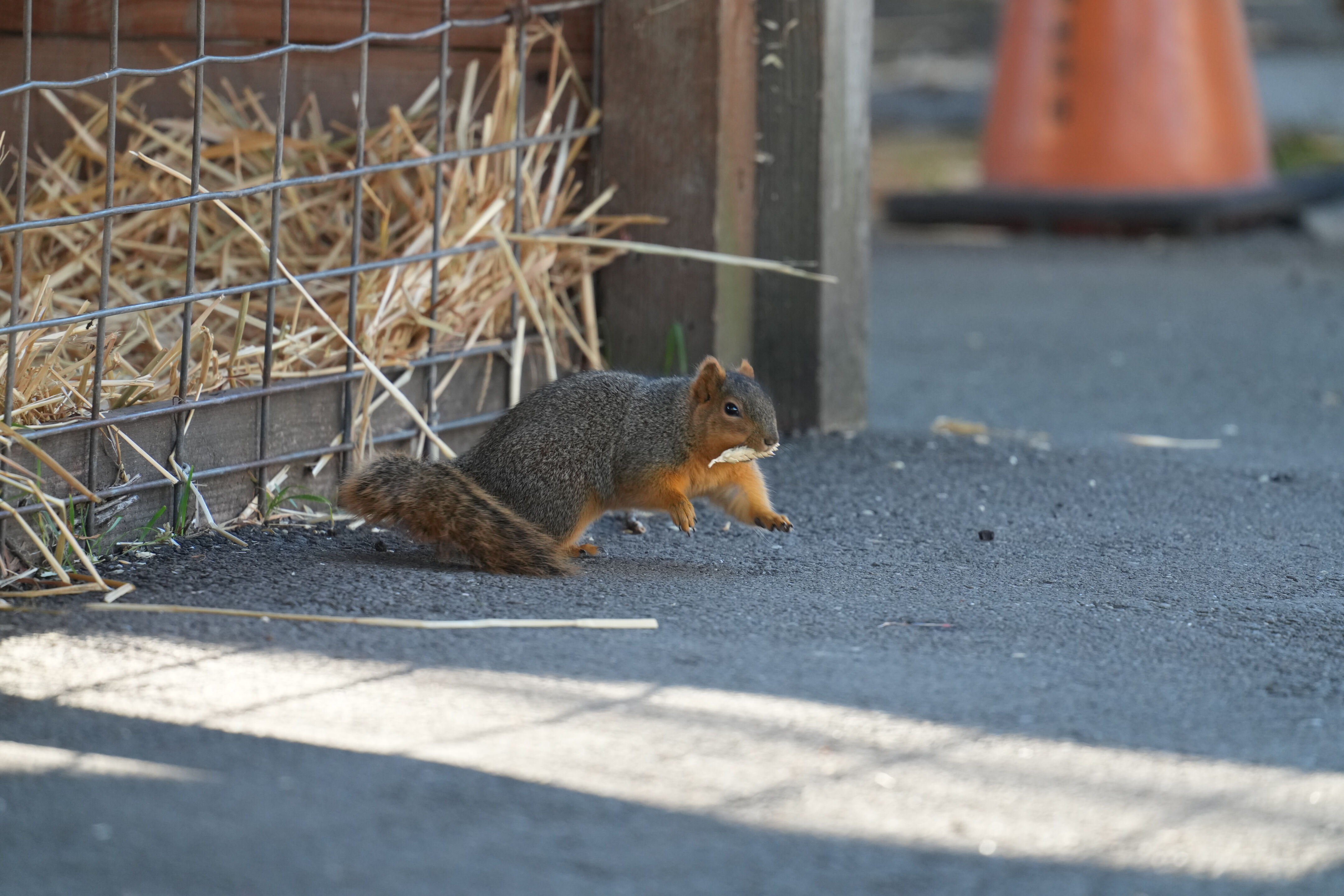 Ardenwood Historic Farm