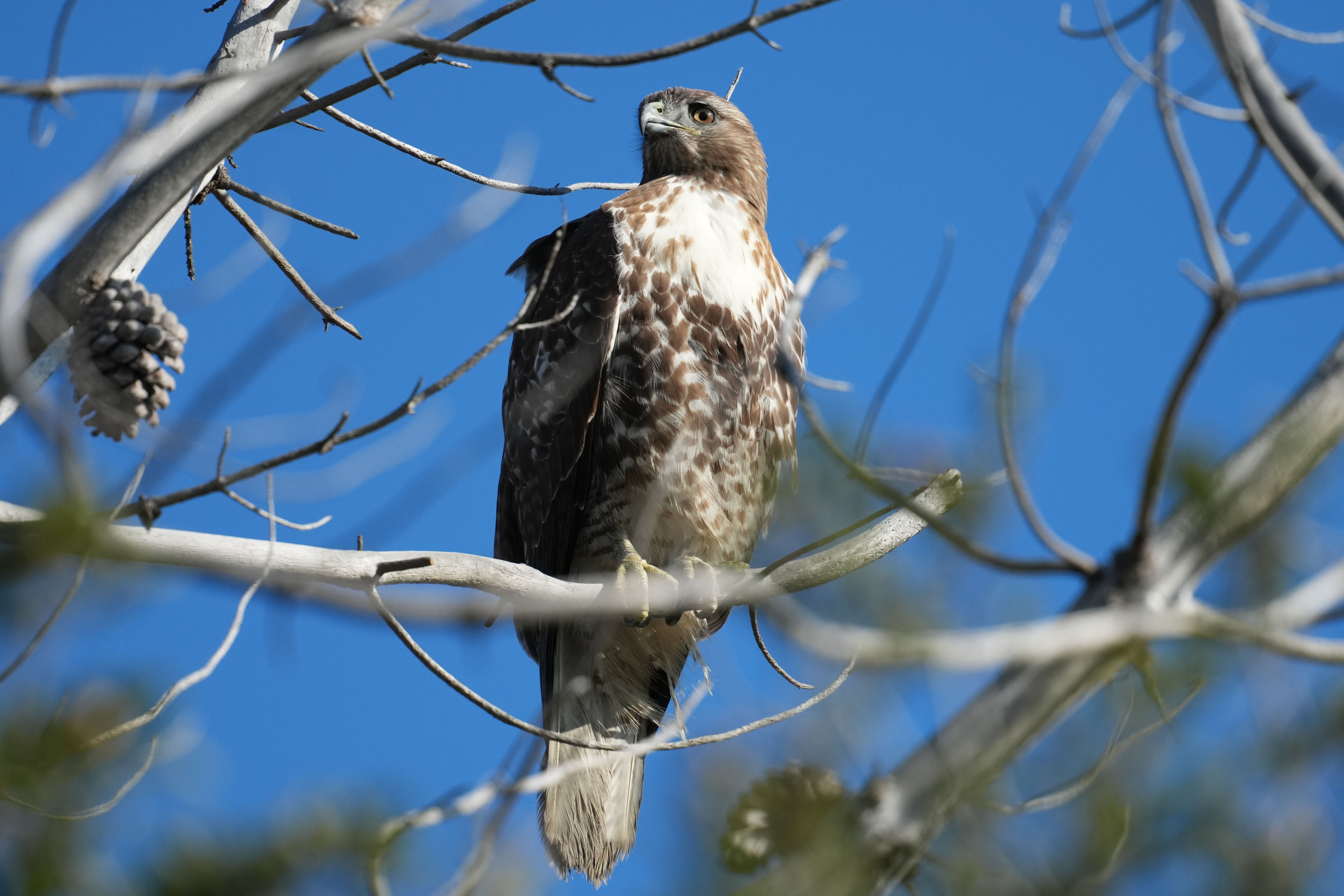 Don Edwards San Francisco Bay National Wildlife Refuge