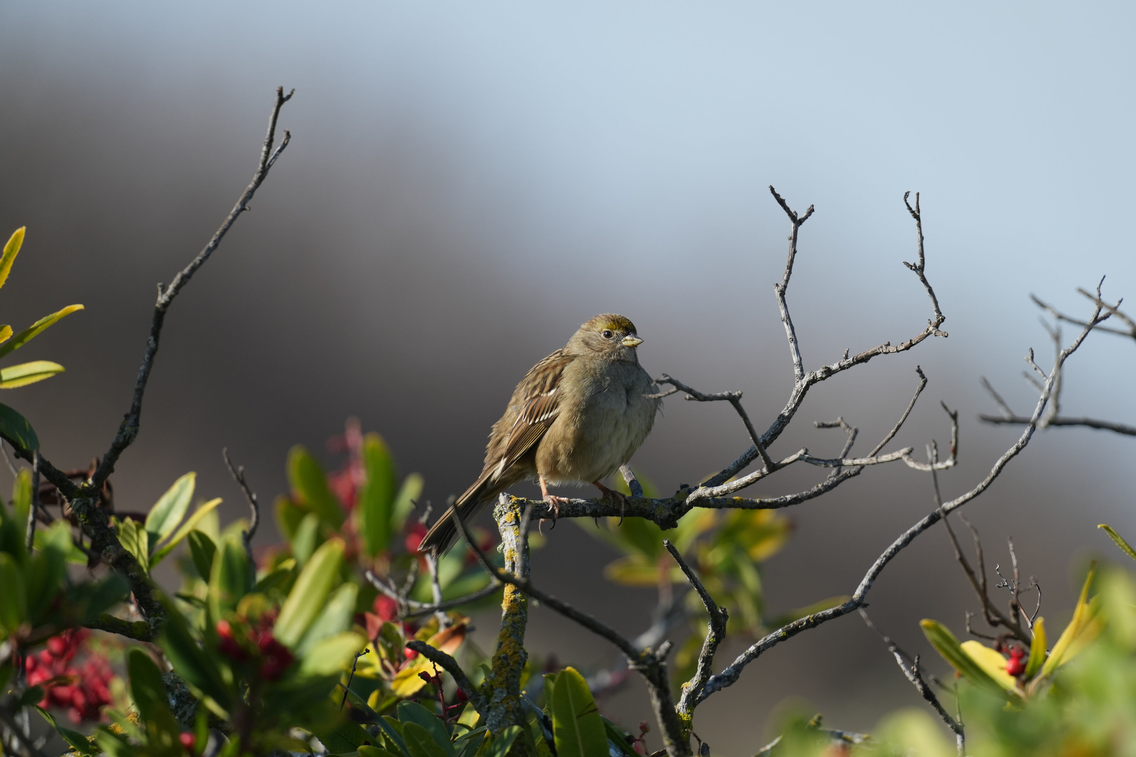 Don Edwards San Francisco Bay National Wildlife Refuge