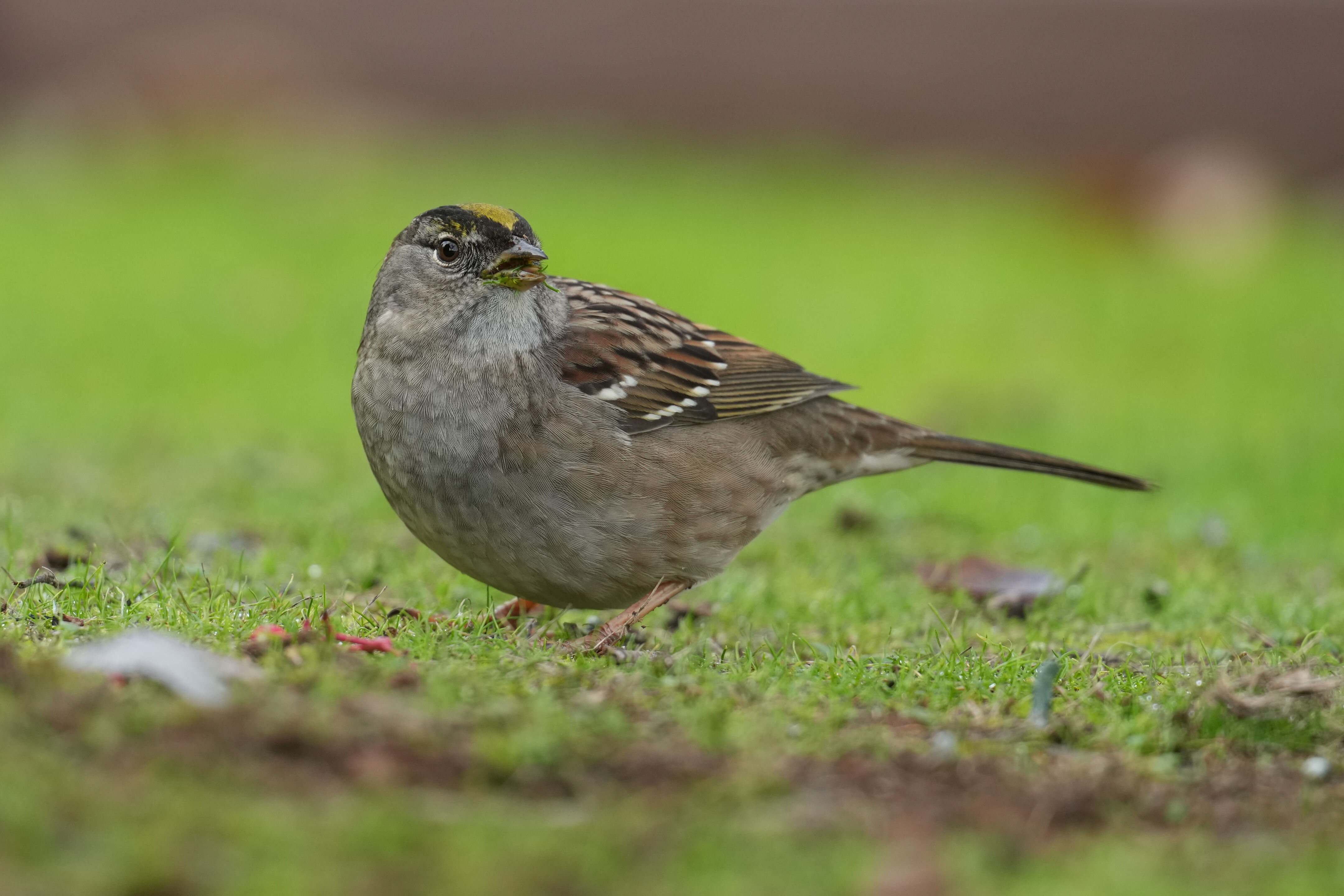 Don Edwards San Francisco Bay National Wildlife Refuge