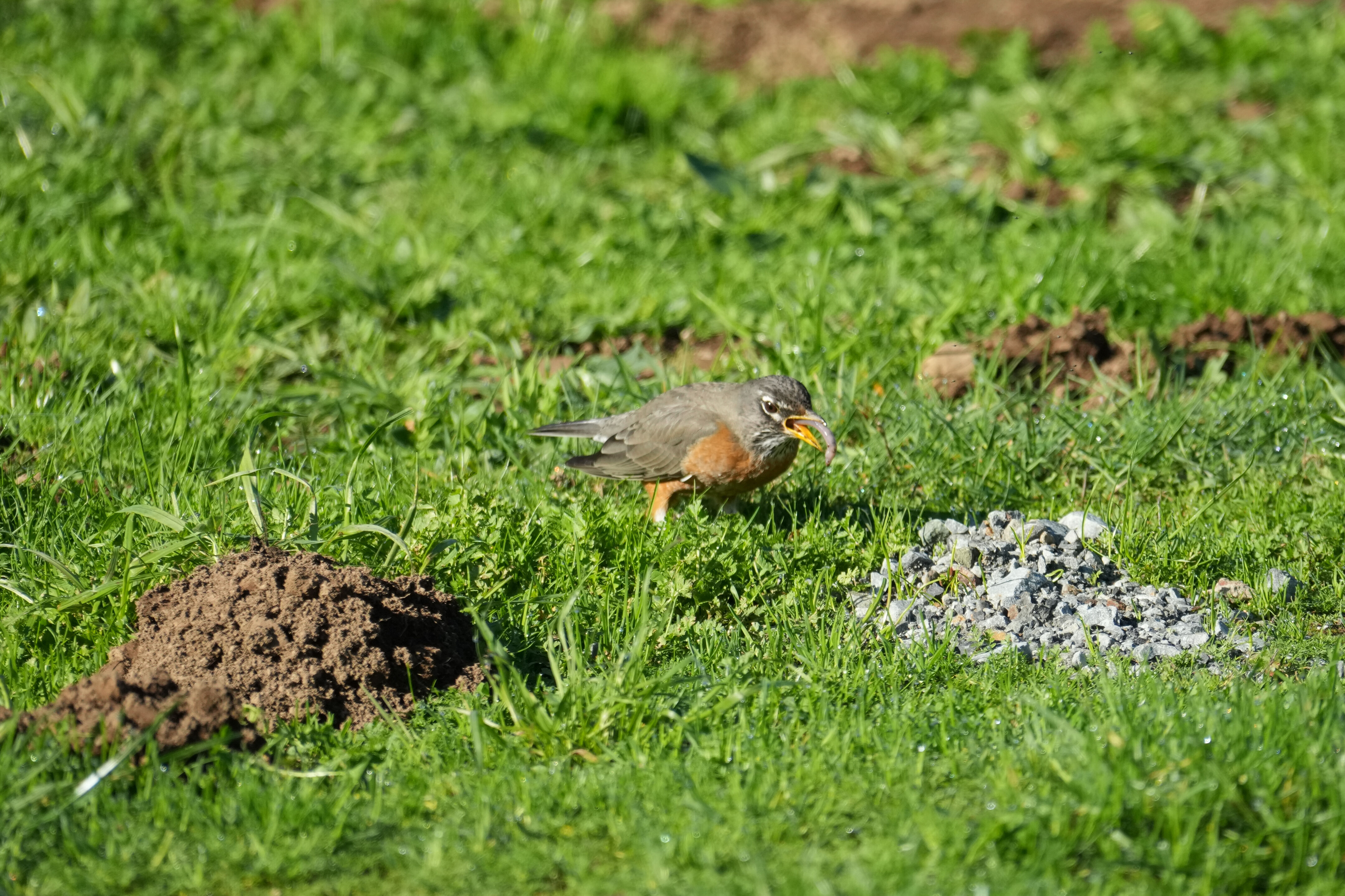 Point Reyes National Seashore - Bear Valley Visitor Center