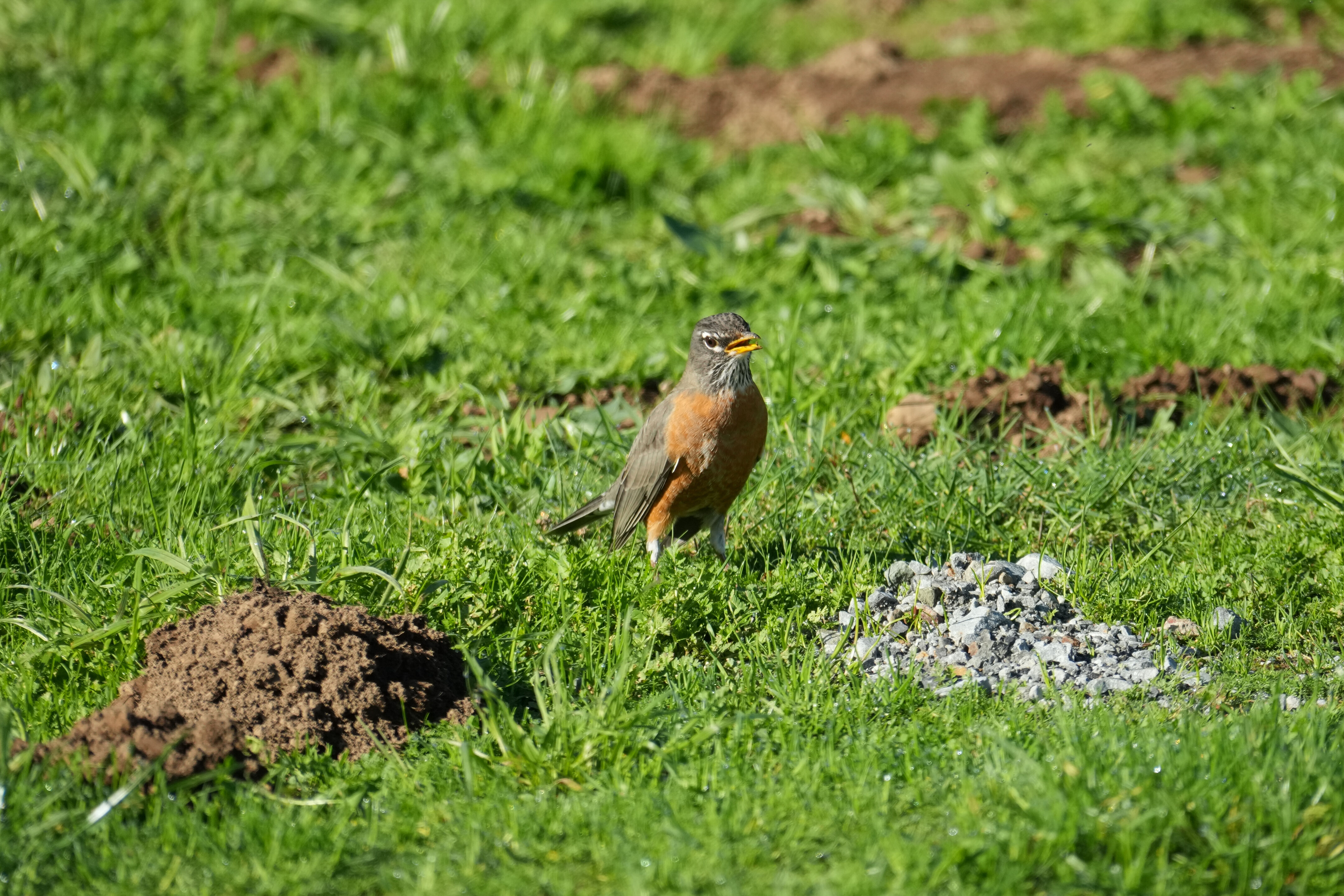 Point Reyes National Seashore - Bear Valley Visitor Center