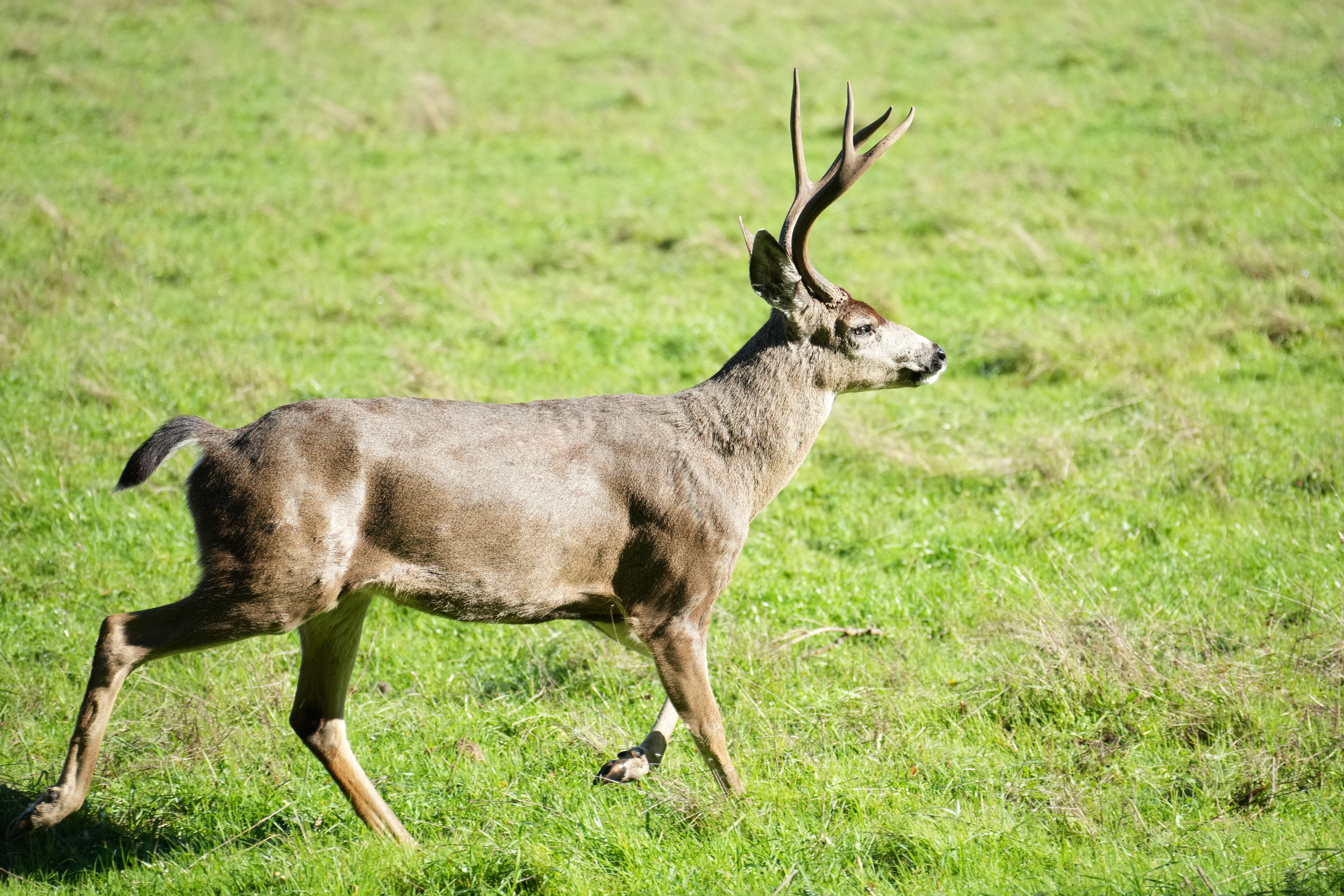Point Reyes National Seashore - Bear Valley Visitor Center