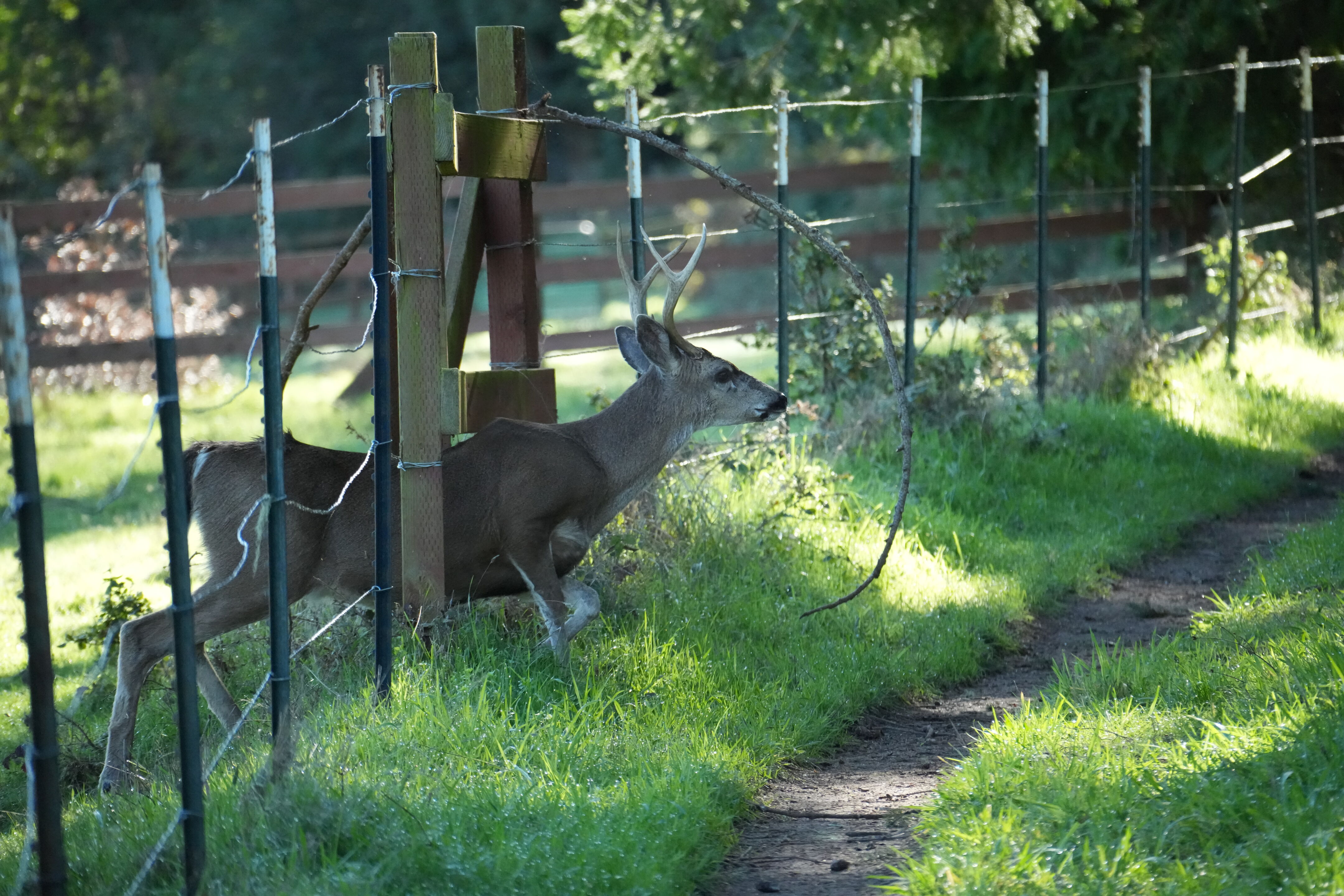Point Reyes National Seashore - Bear Valley Visitor Center