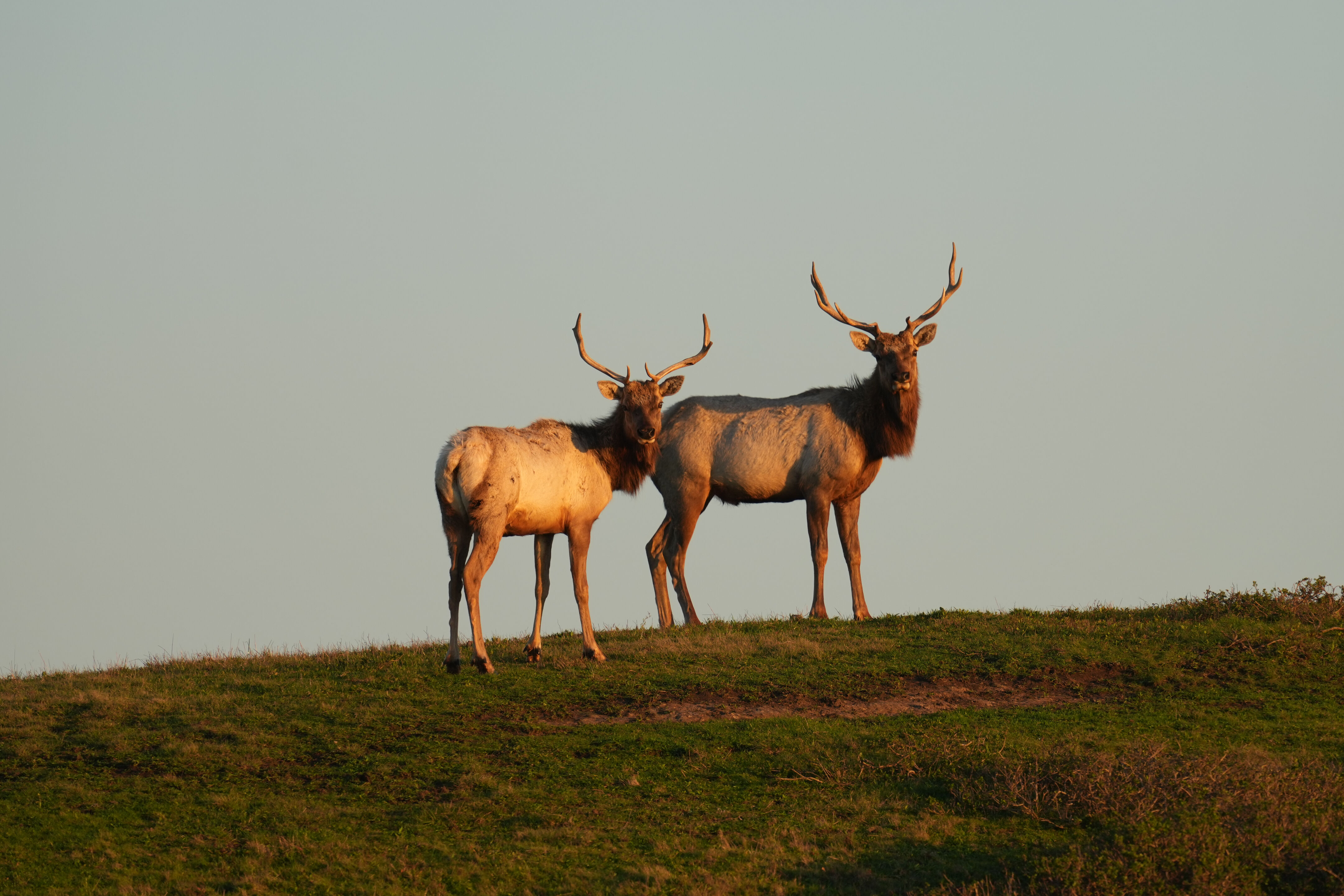 Point Reyes National Seashore - Historic Ranches