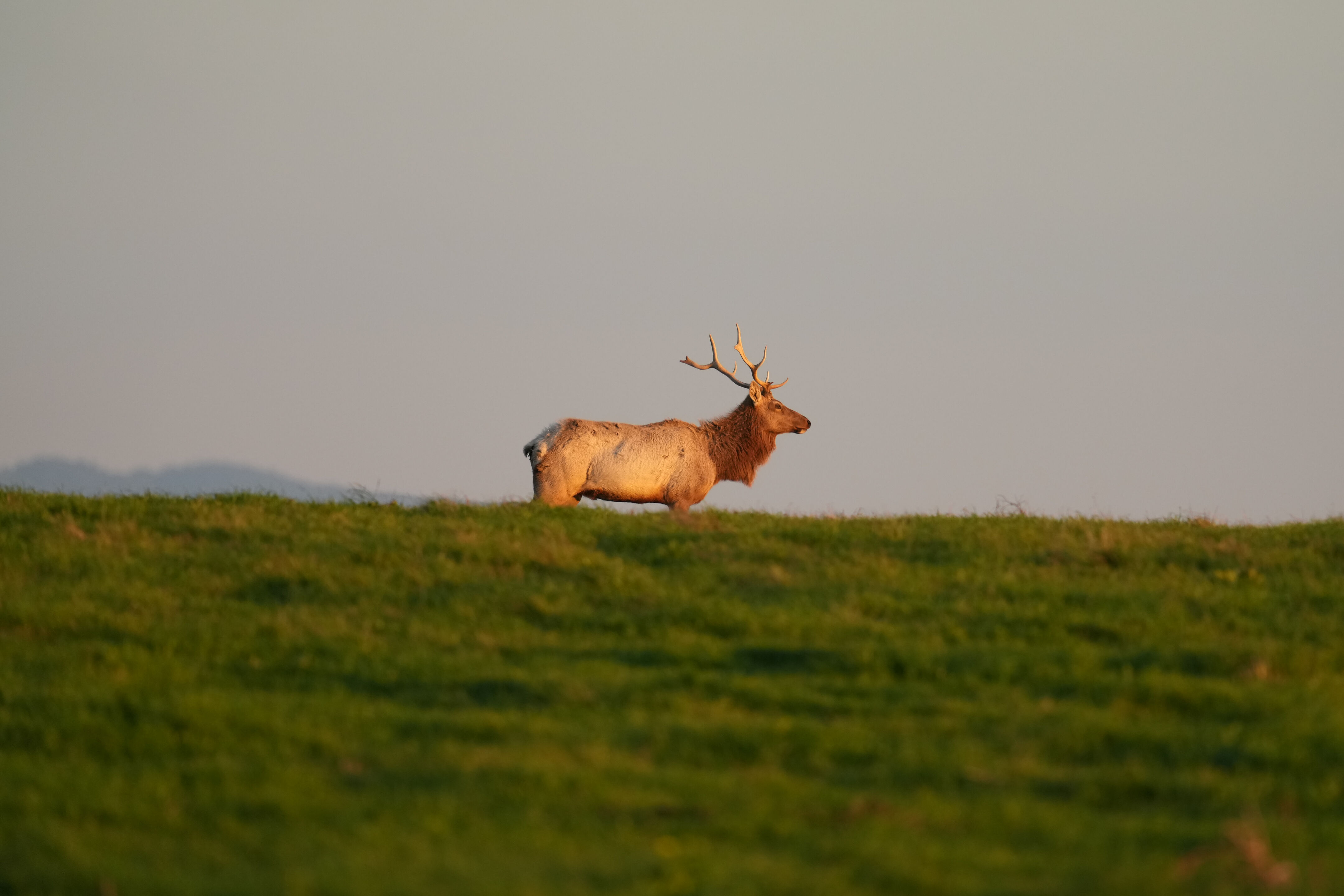 Point Reyes National Seashore - Historic Ranches