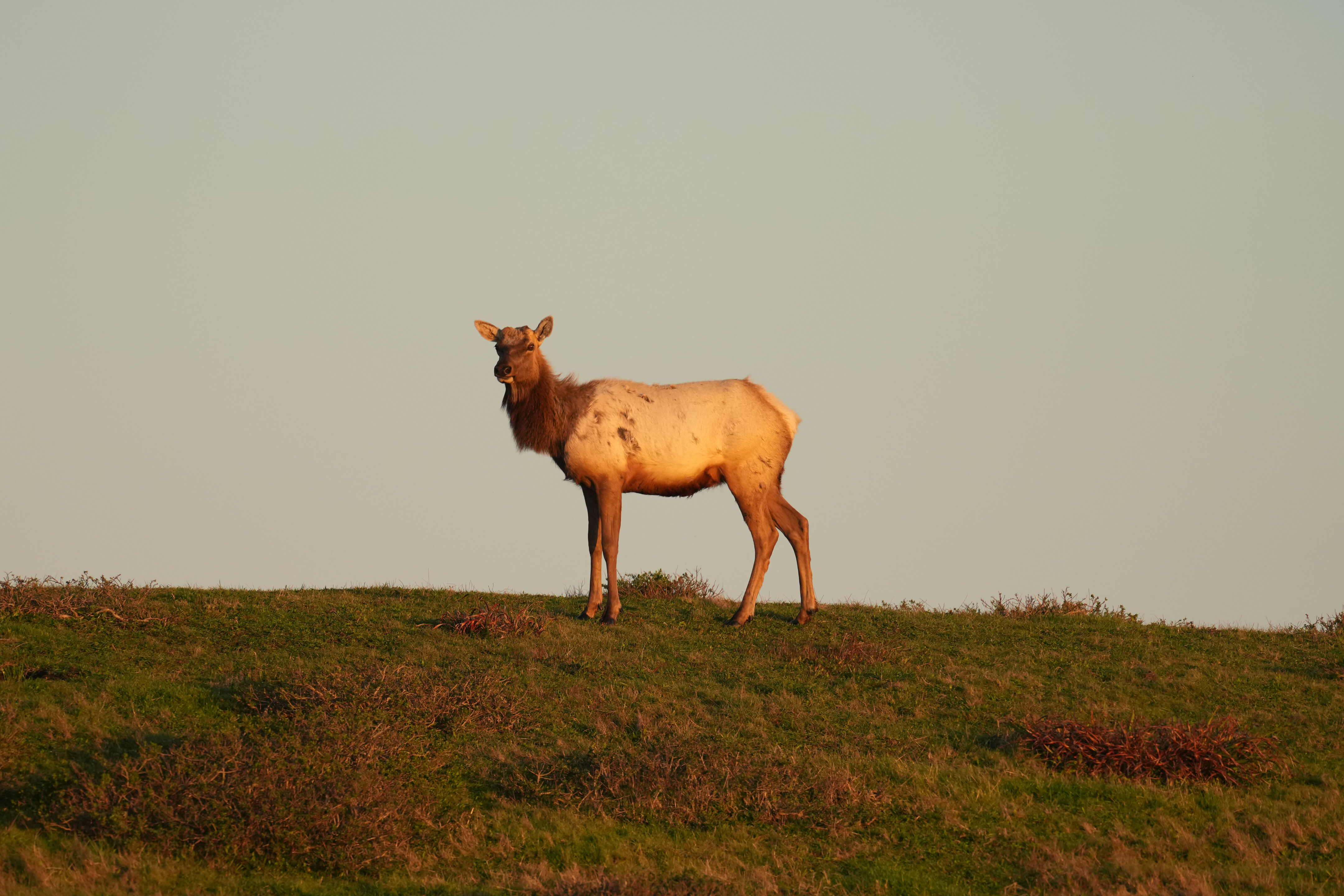 Point Reyes National Seashore - Historic Ranches