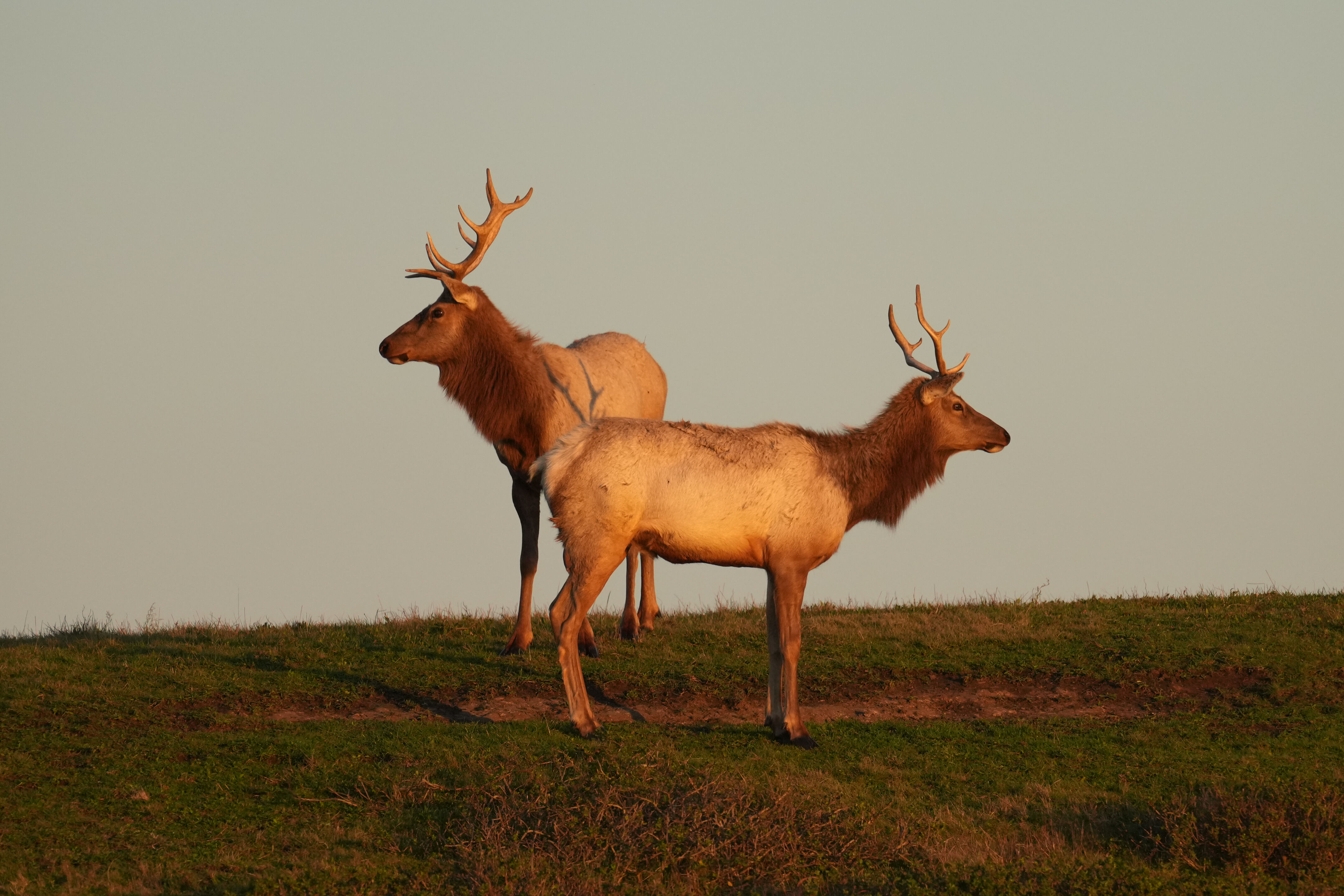 Point Reyes National Seashore - Historic Ranches