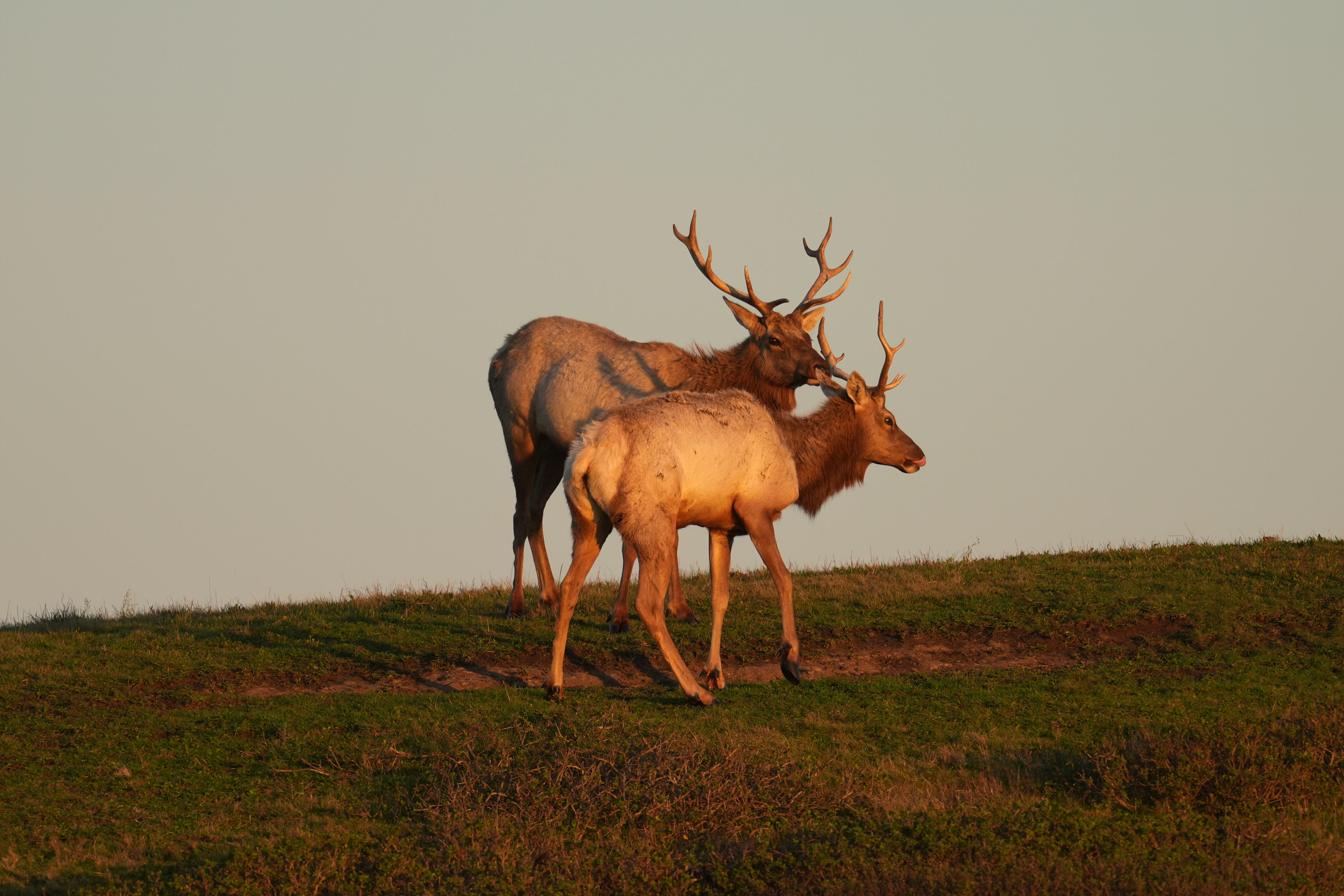 Point Reyes National Seashore - Historic Ranches