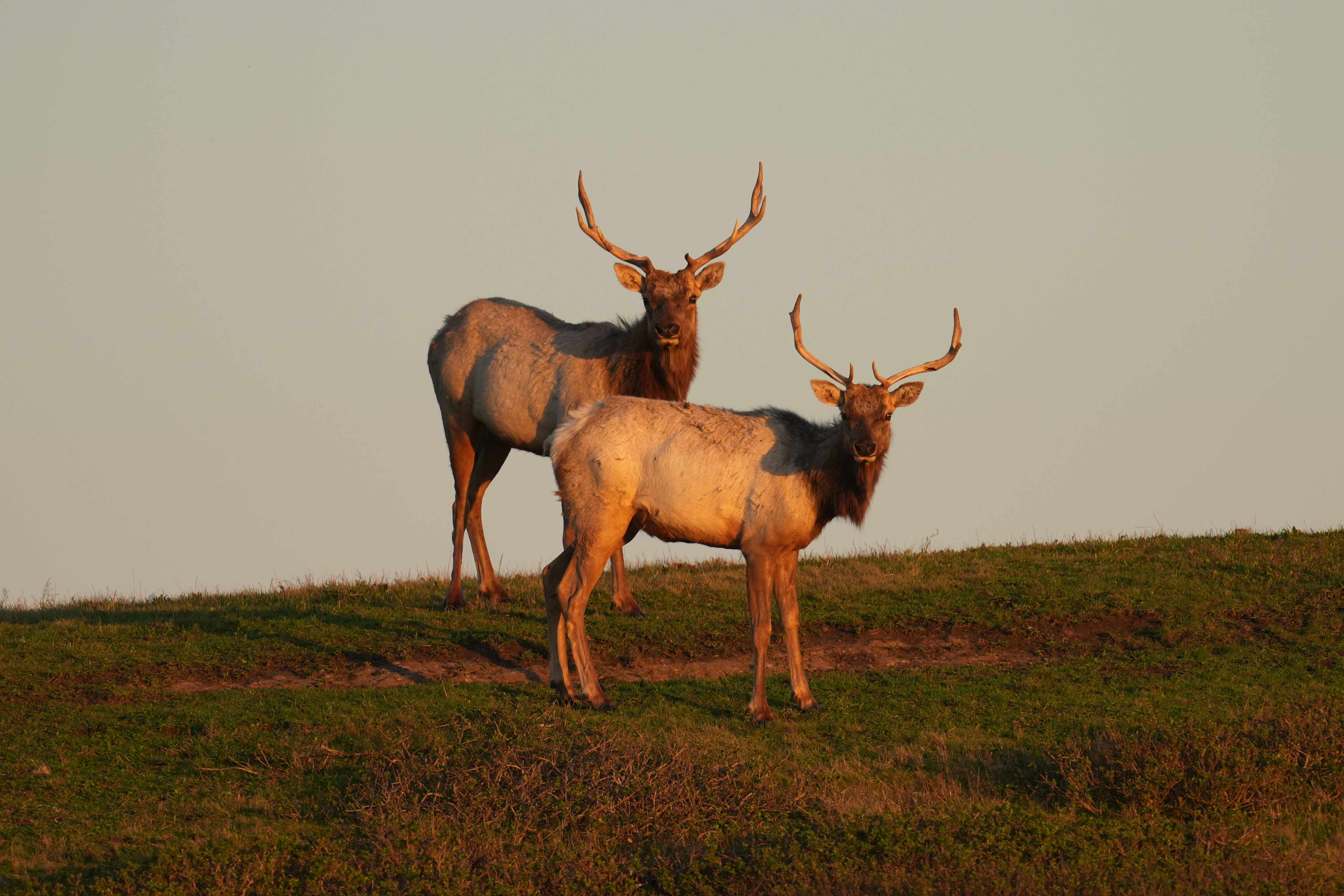Point Reyes National Seashore - Historic Ranches