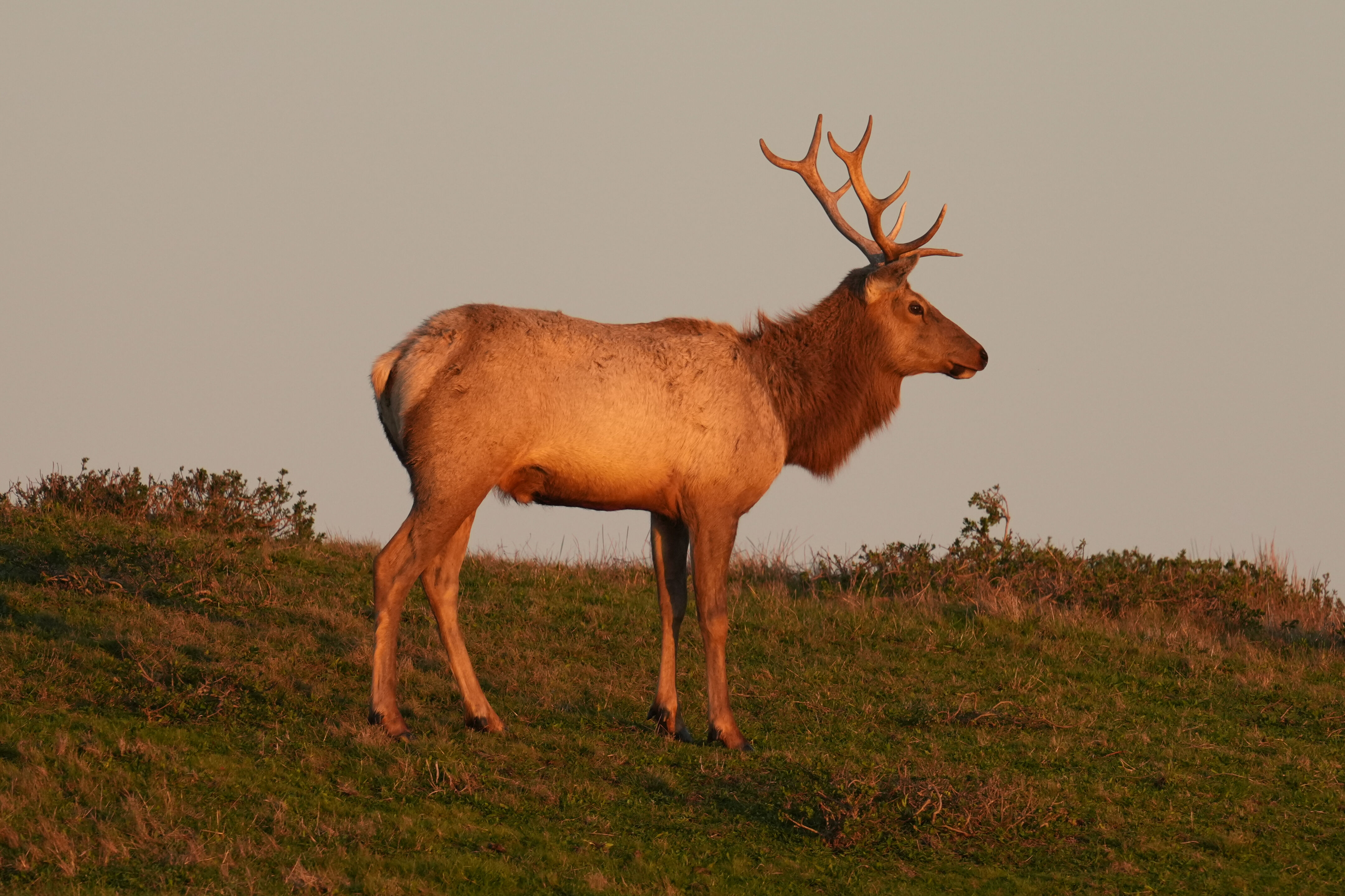 Point Reyes National Seashore - Historic Ranches