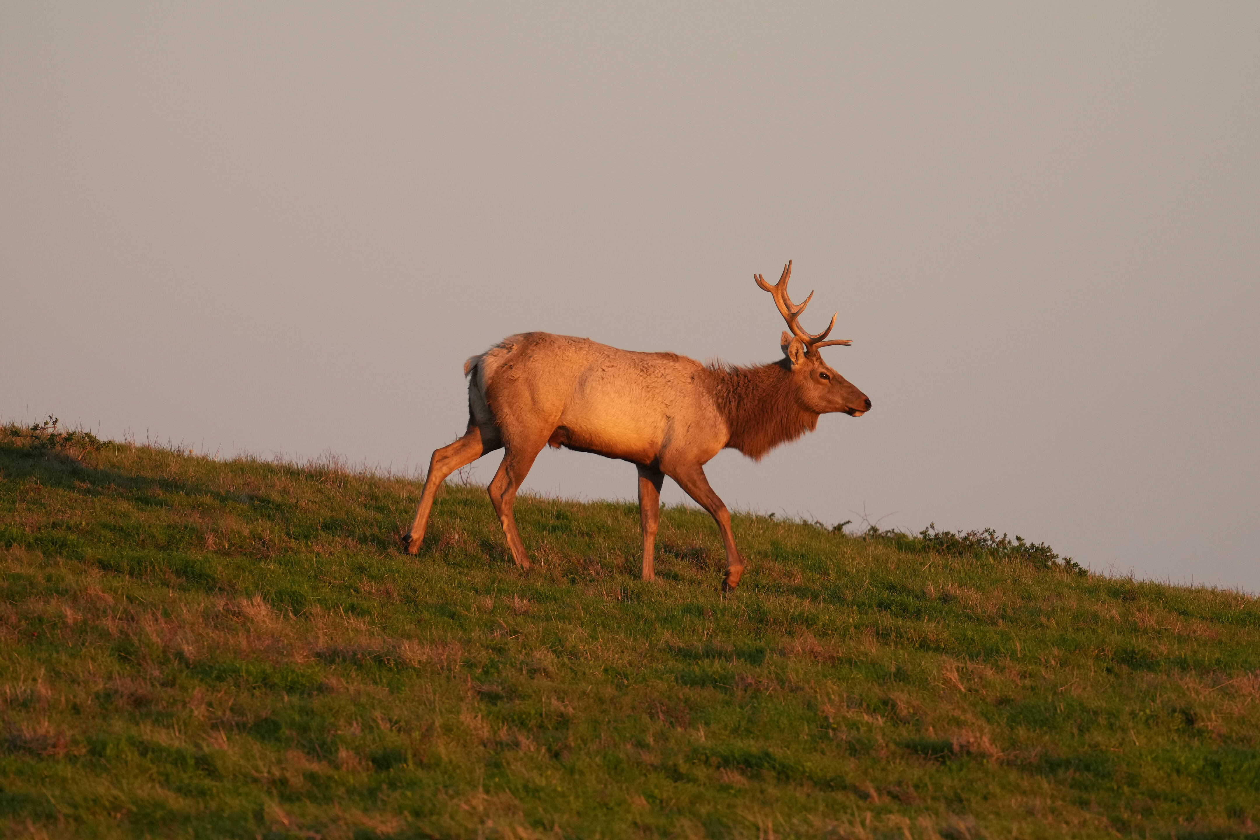 Point Reyes National Seashore - Historic Ranches