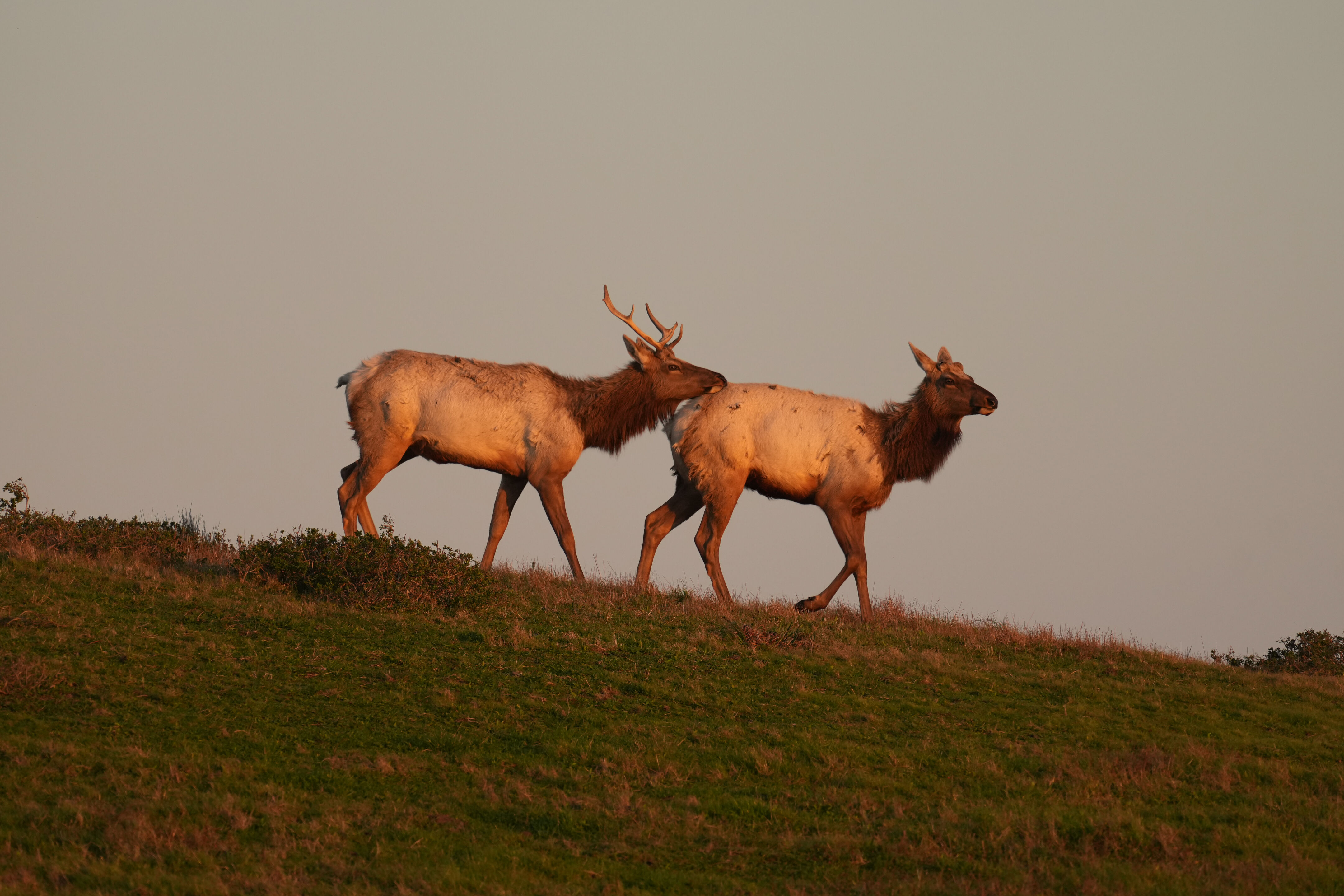 Point Reyes National Seashore - Historic Ranches