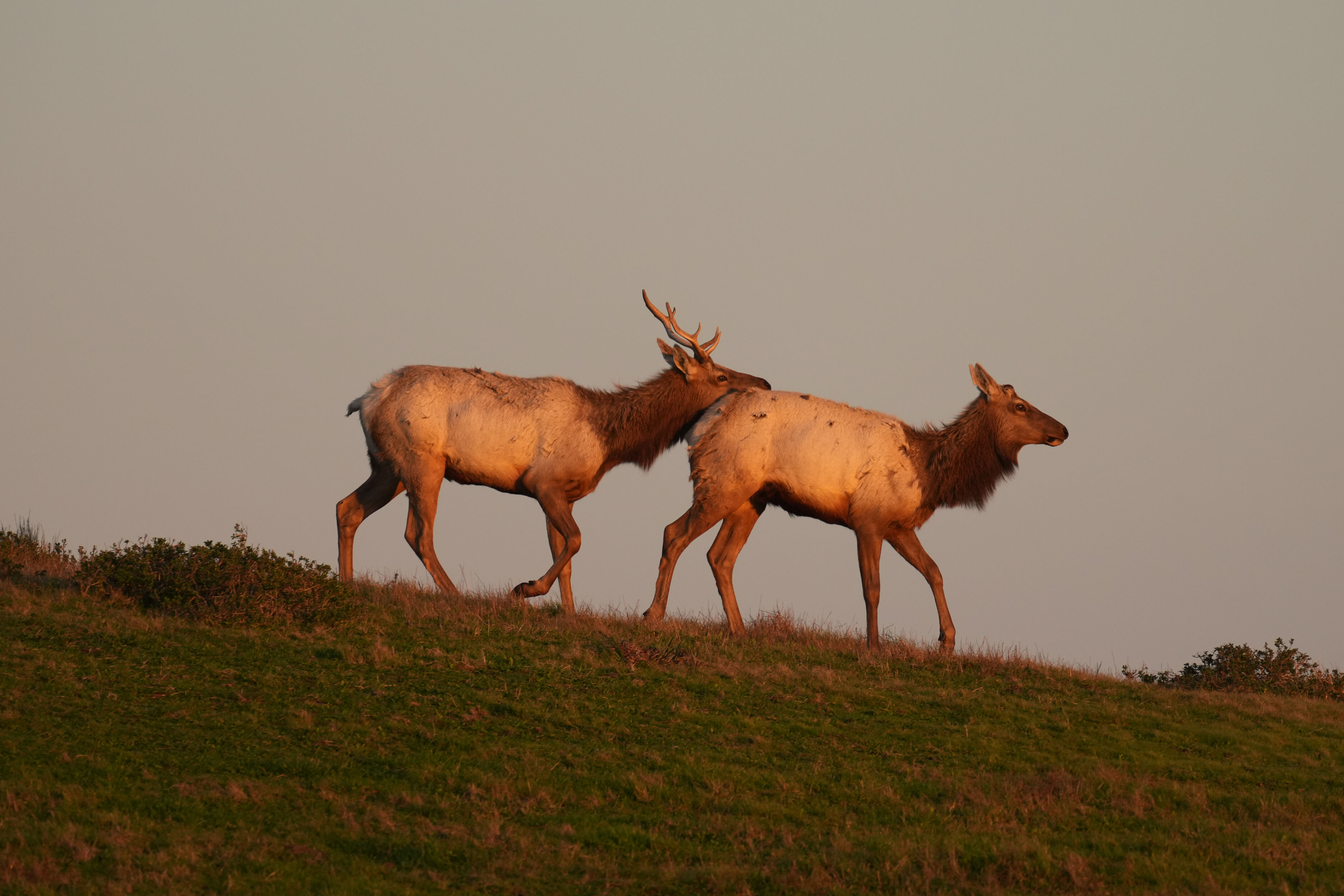 Point Reyes National Seashore - Historic Ranches